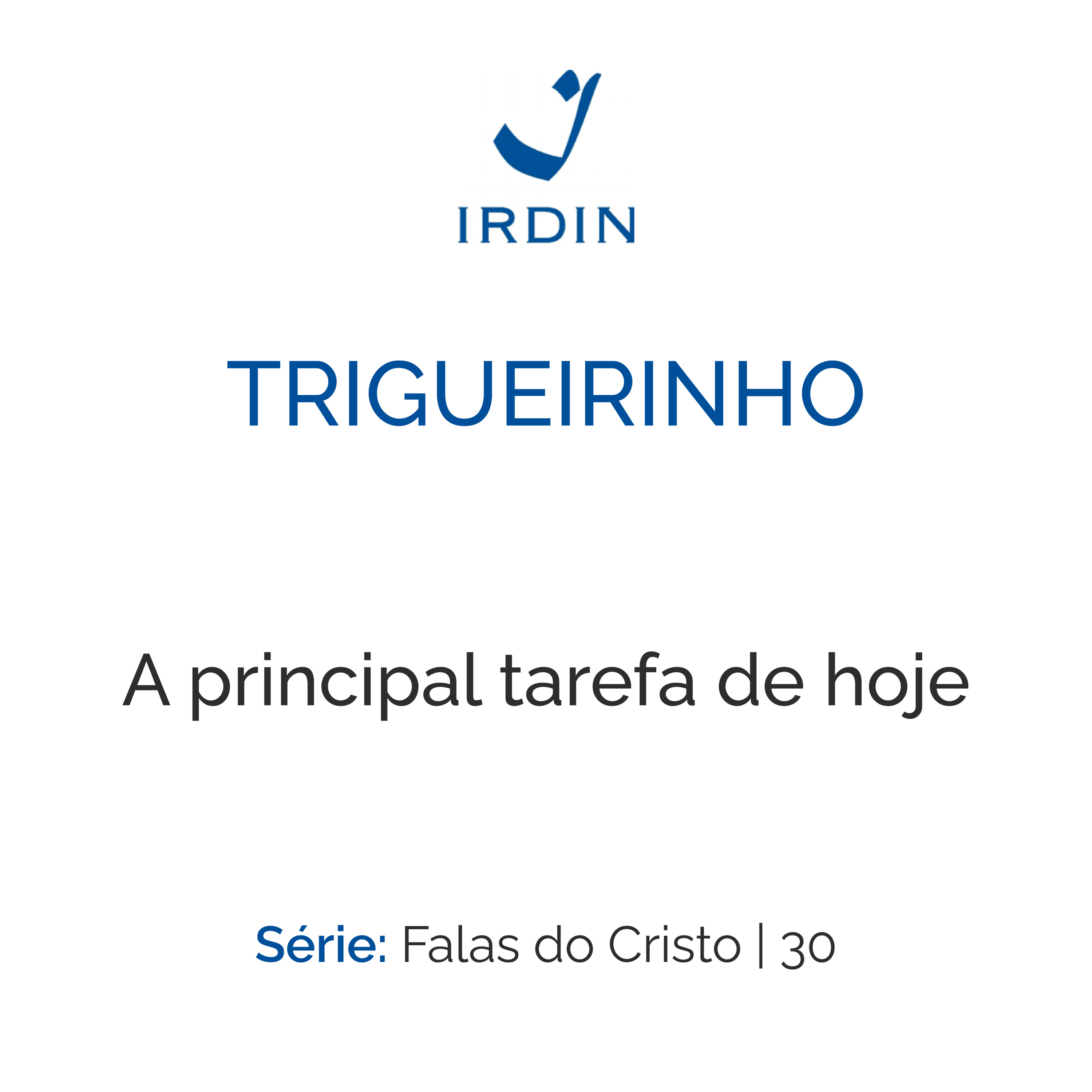 A principal tarefa de hoje episode artwork