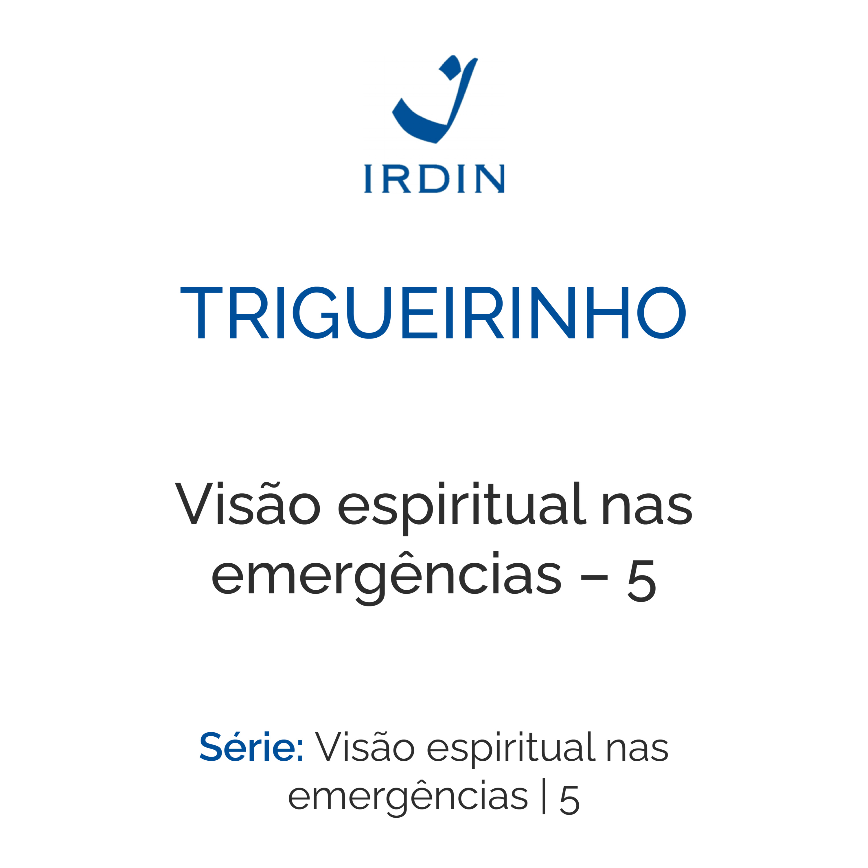 Visão espiritual nas emergências – 5 episode artwork