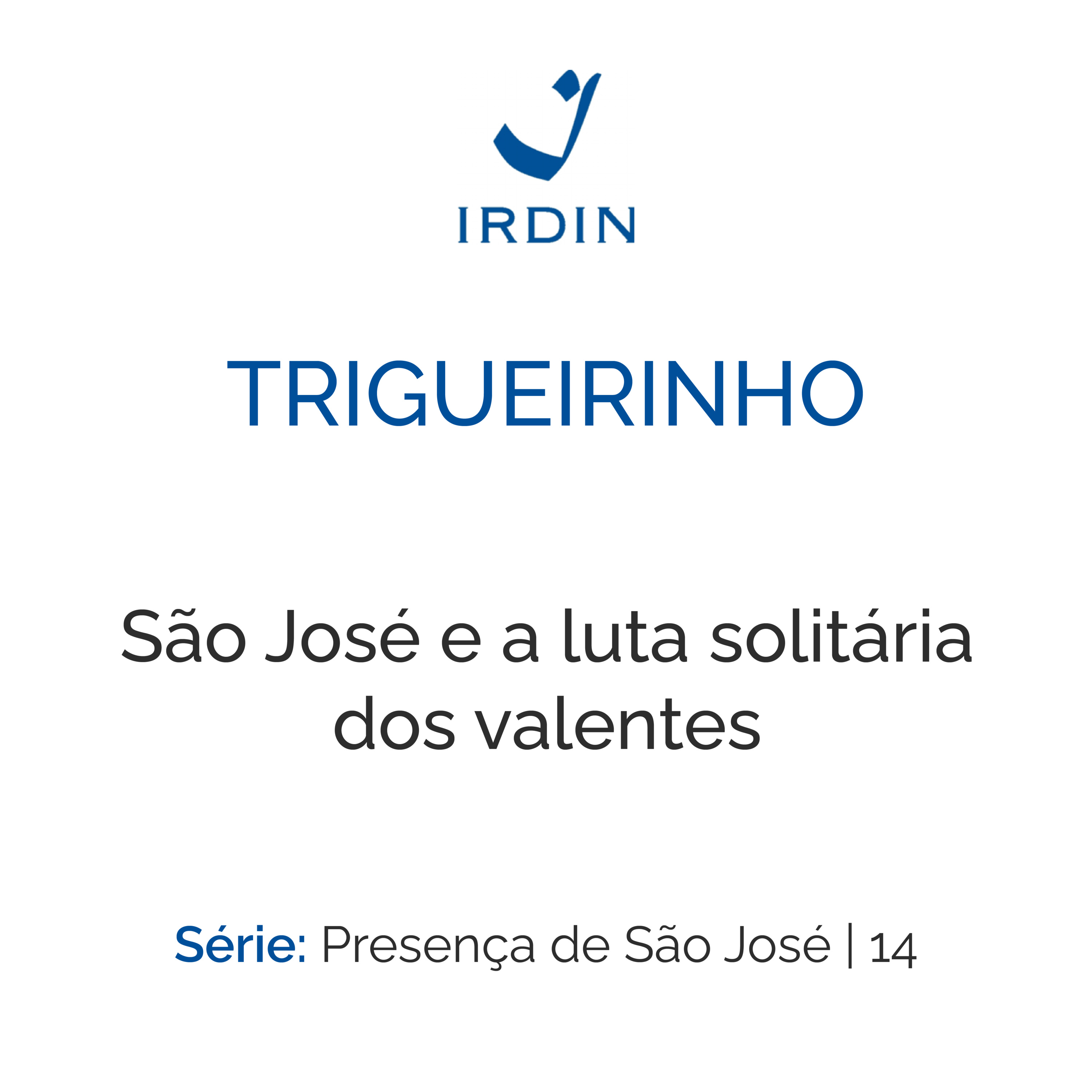 São José e a luta solitária dos valentes episode artwork