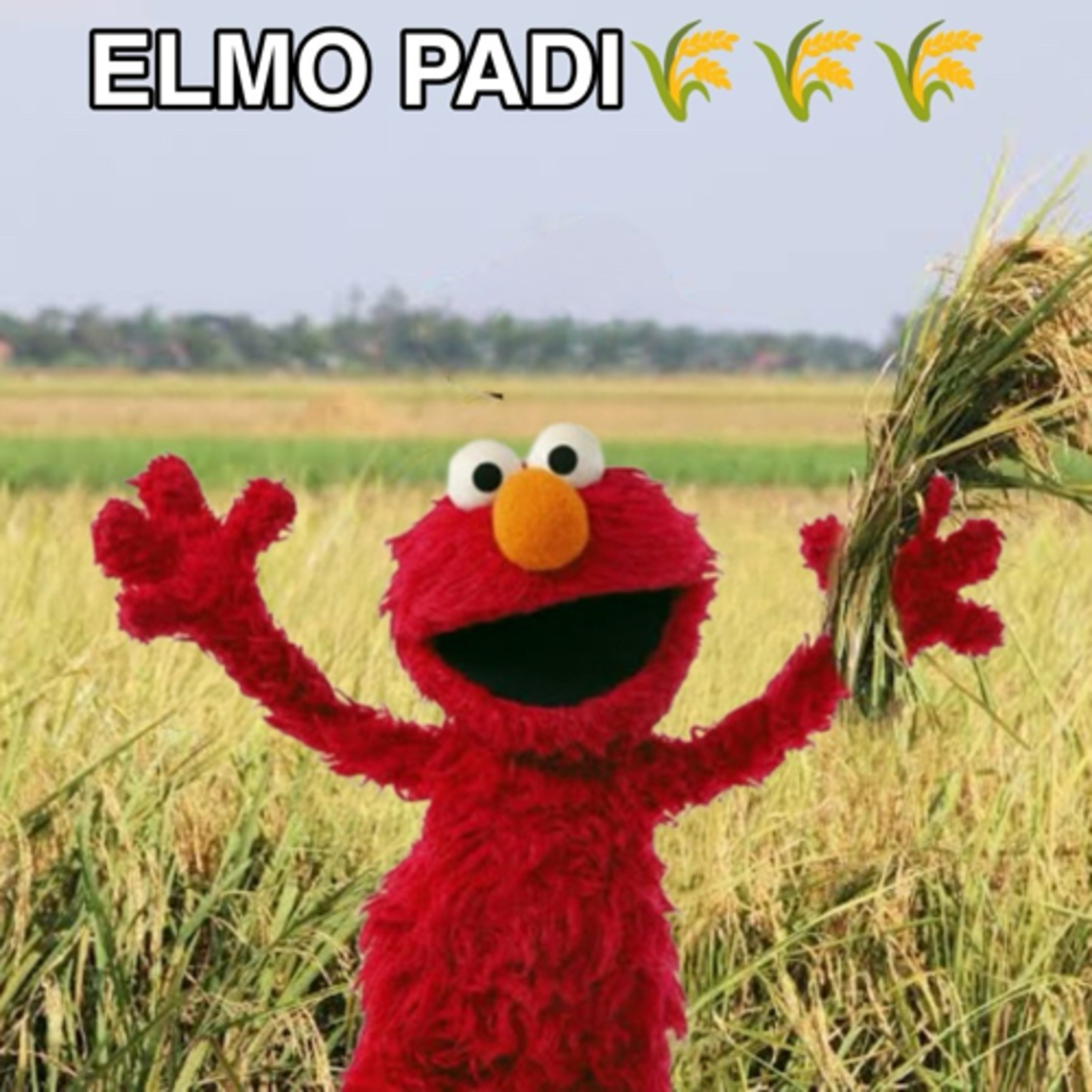 ILMU PADI MENYALA KAKAEE 🌾🌾🌾🔥🔥🔥 episode artwork
