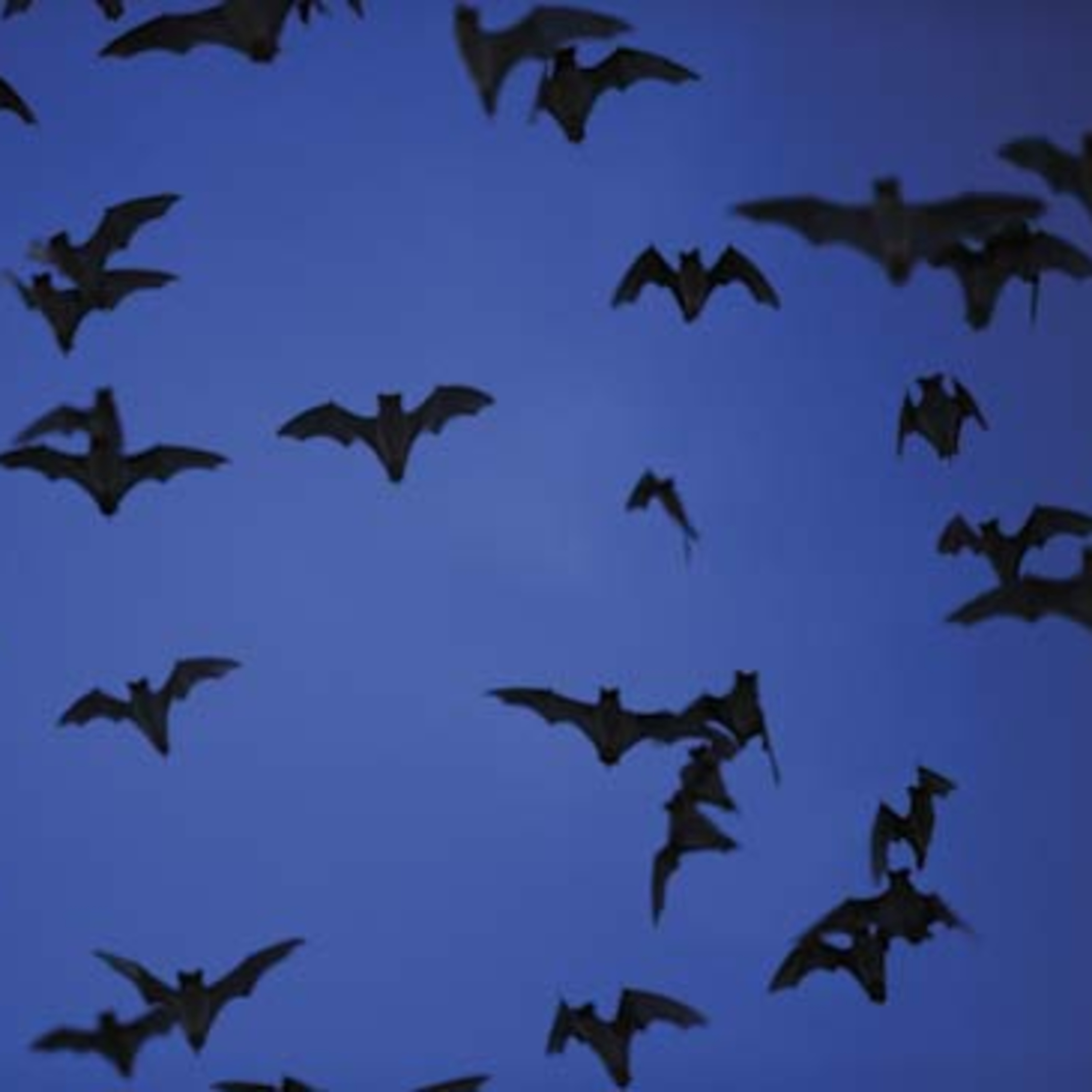 017 Peele's US, Streaming Wars, The Dirt, Stadia, Vampire book Stoker w/ Author Calvin Cherry & cohost Tuck