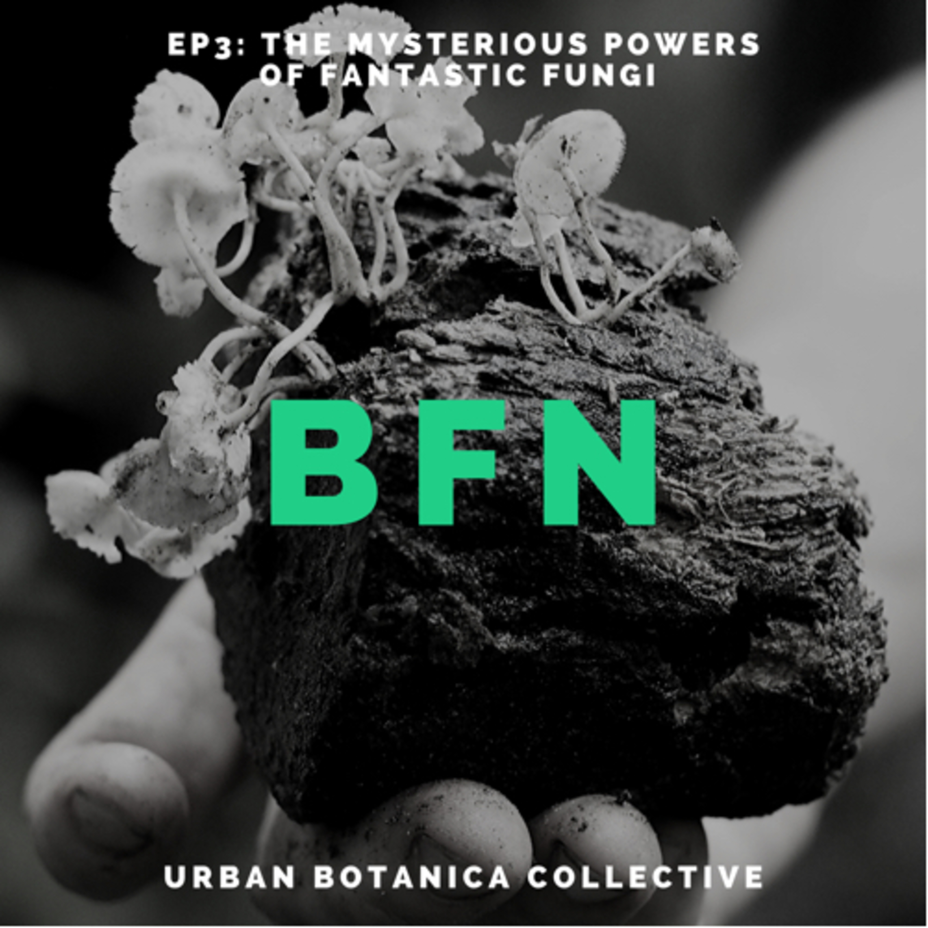 Born From Nature with Monty Sharma