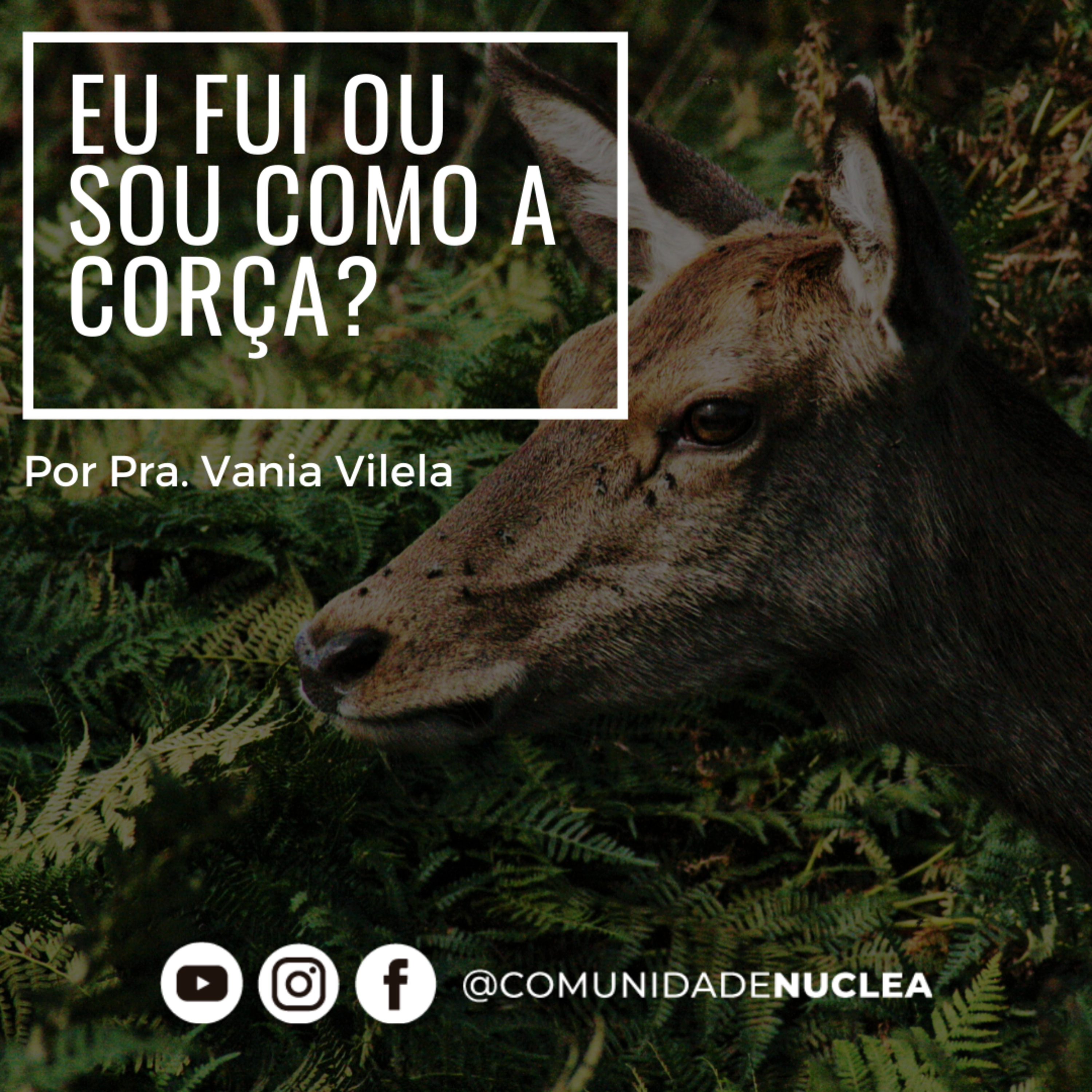 Comunidade Nuclea
