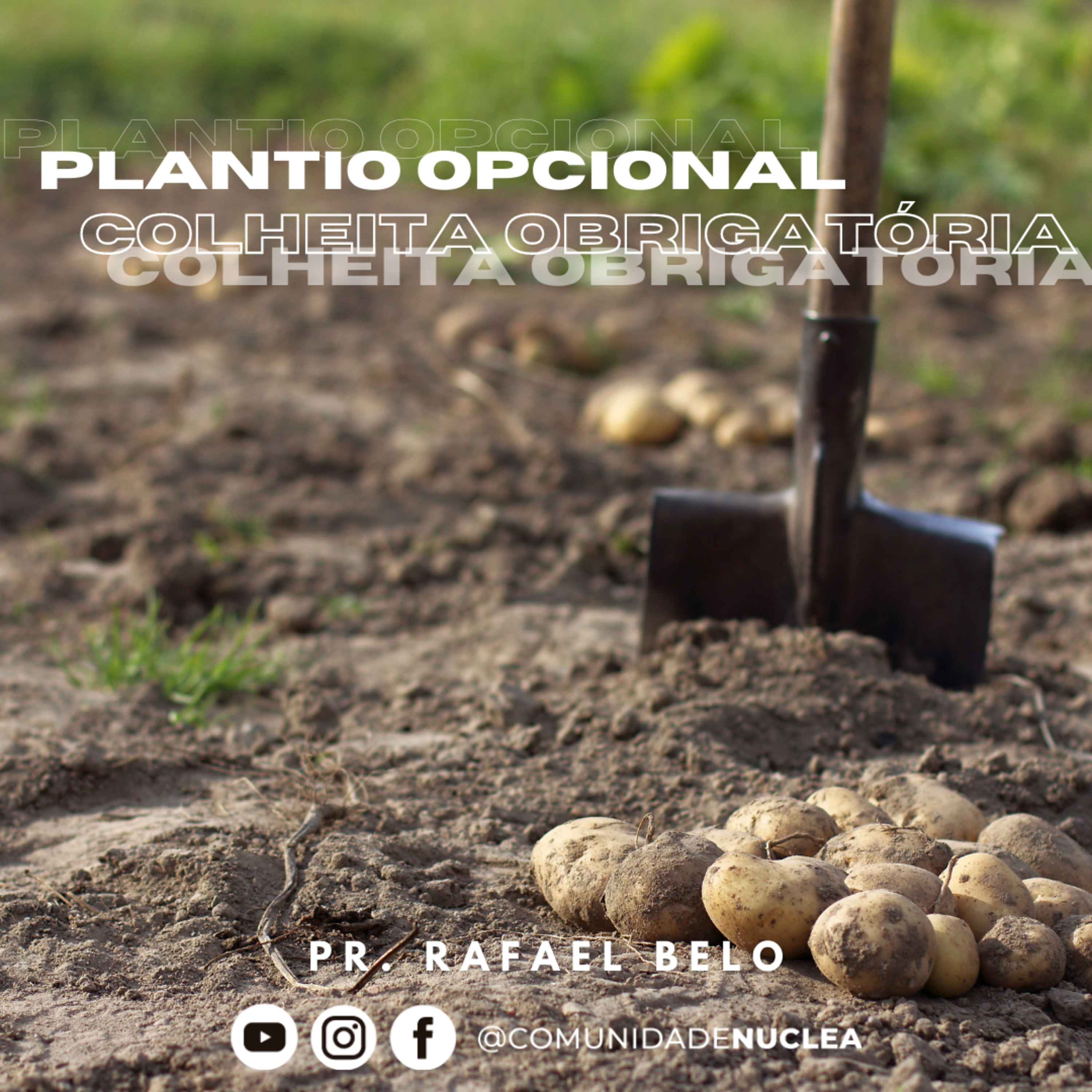 Pr. Rafael Belo - Plantio opcional, colheita obrigatória. episode artwork