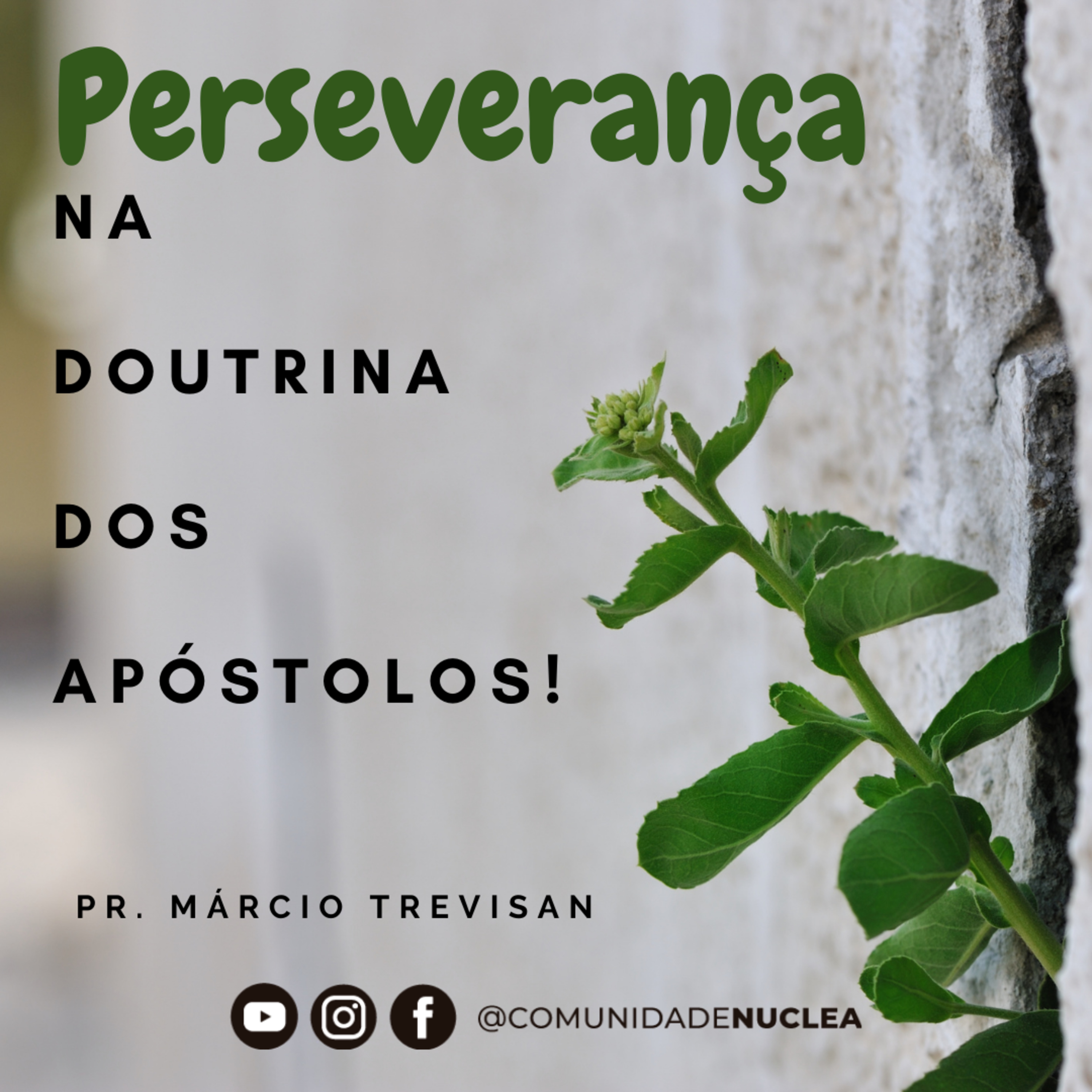 Pr. Márcio Trevisan - Perseverança na doutrina dos Apóstolos.  episode artwork