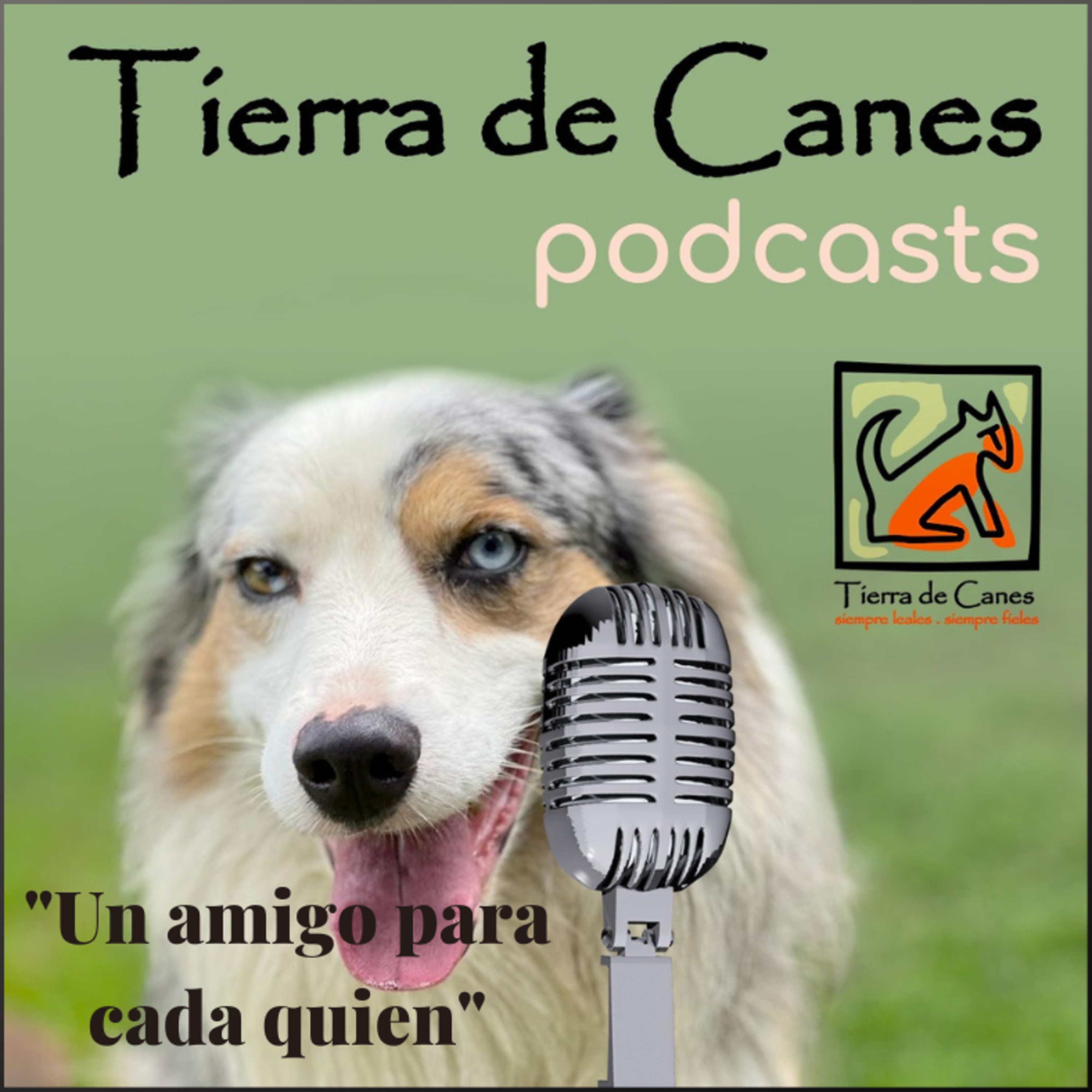 Tierra de Canes