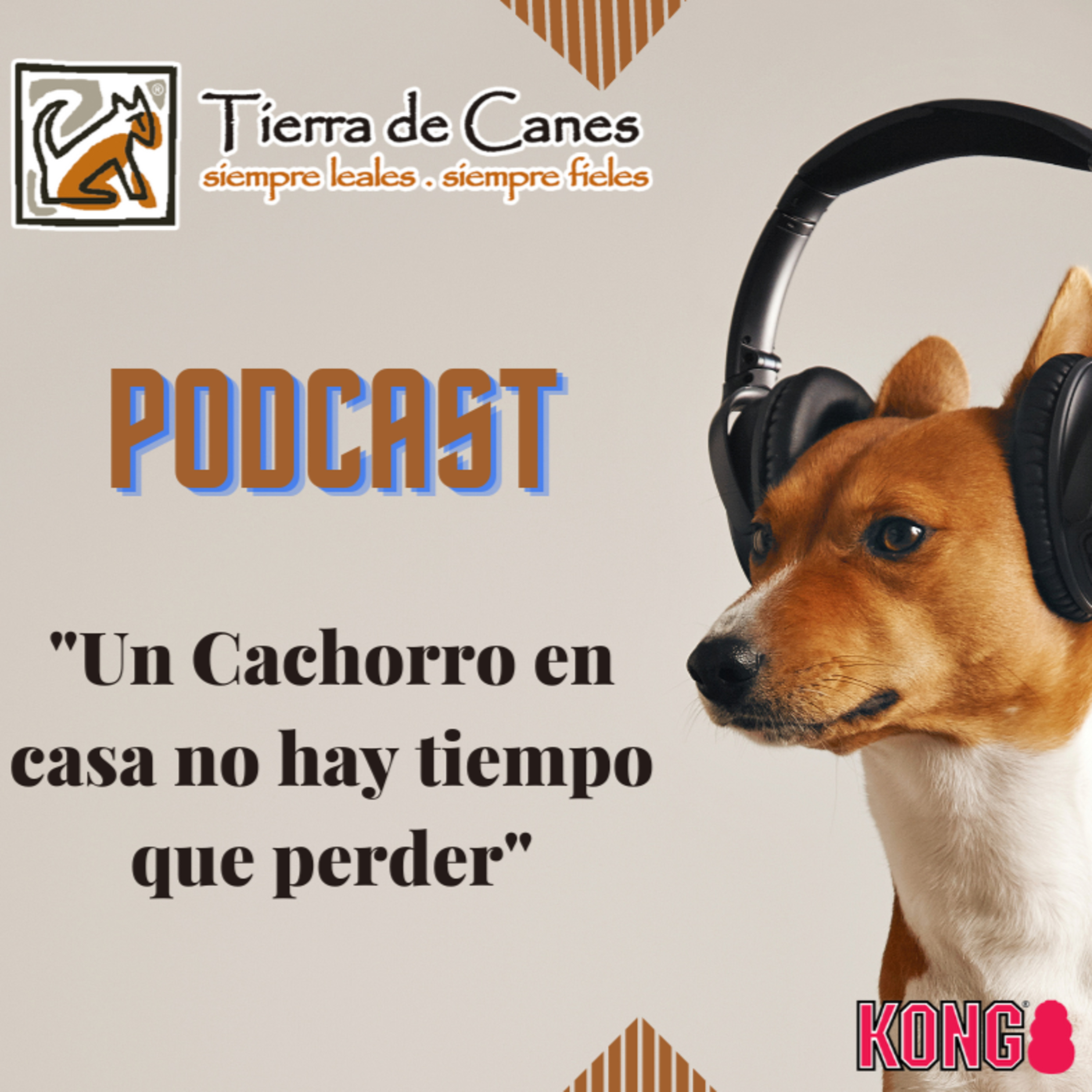 Tierra de Canes