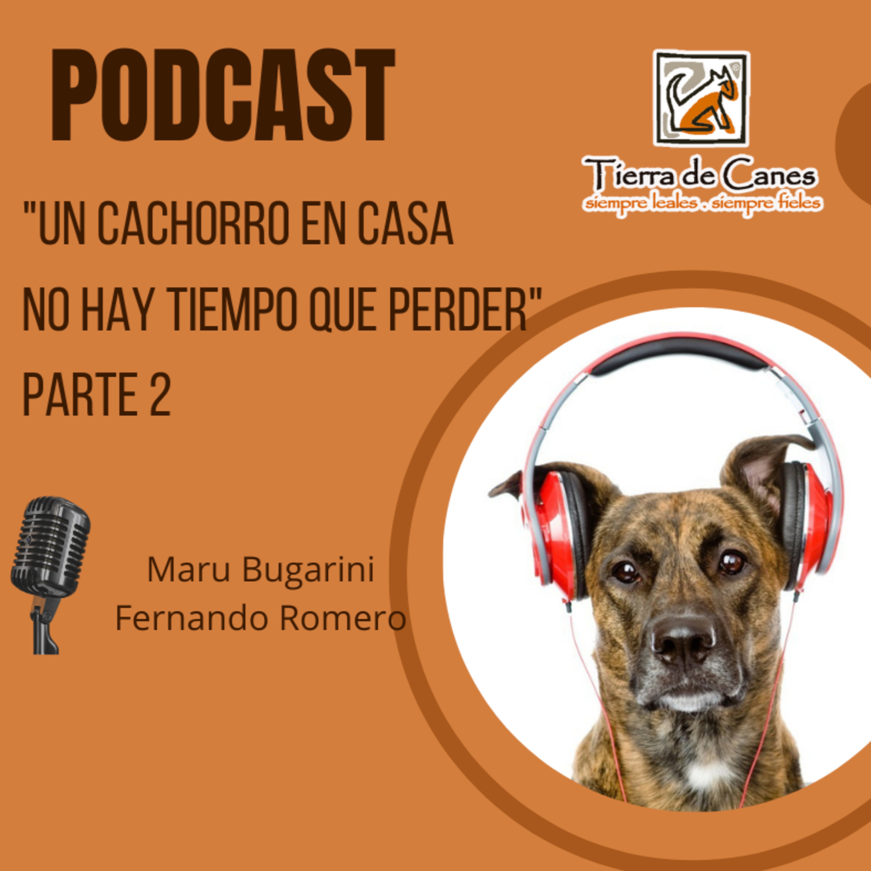 Tierra de Canes