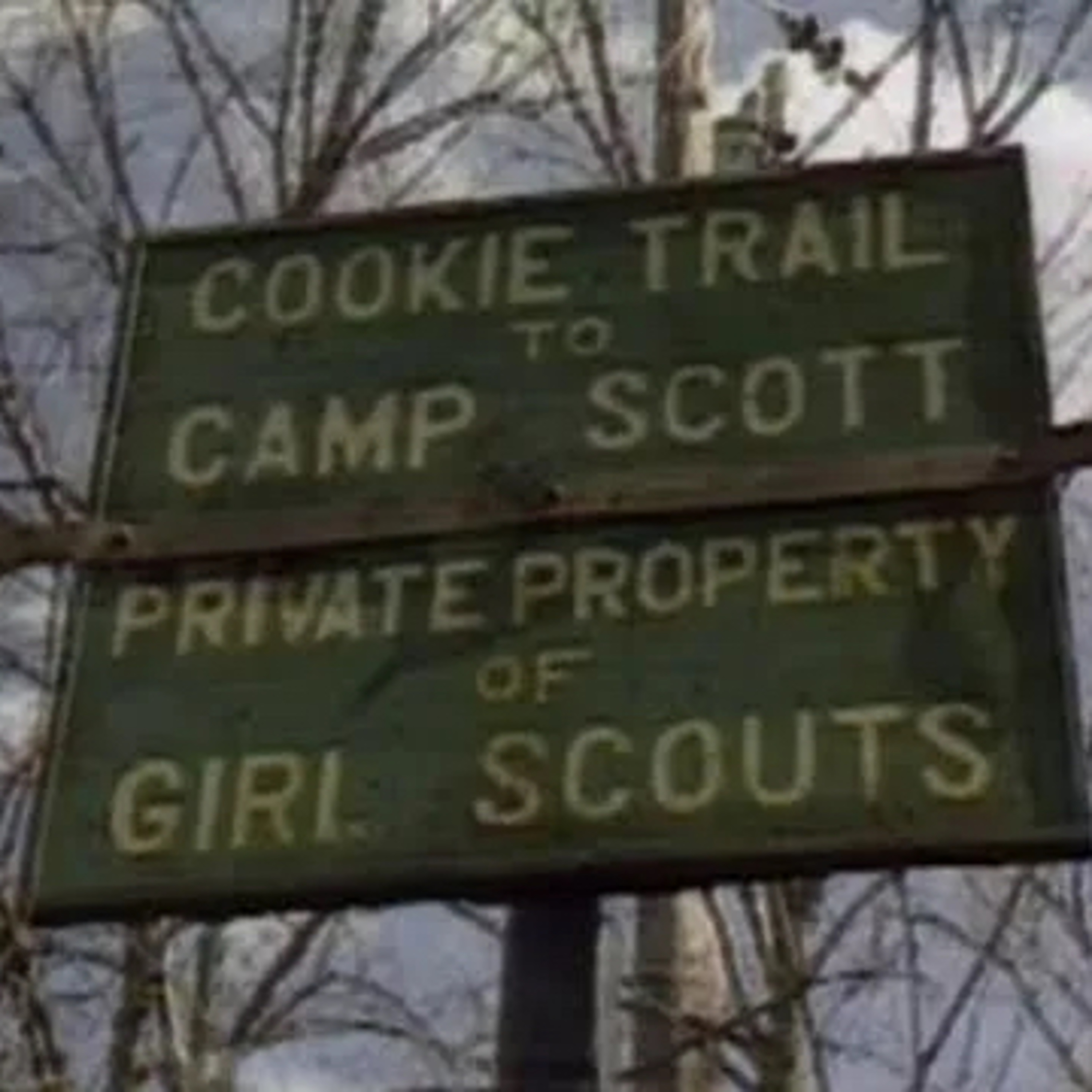 Episode 10: Oklahoma Girl Scout Case episode artwork