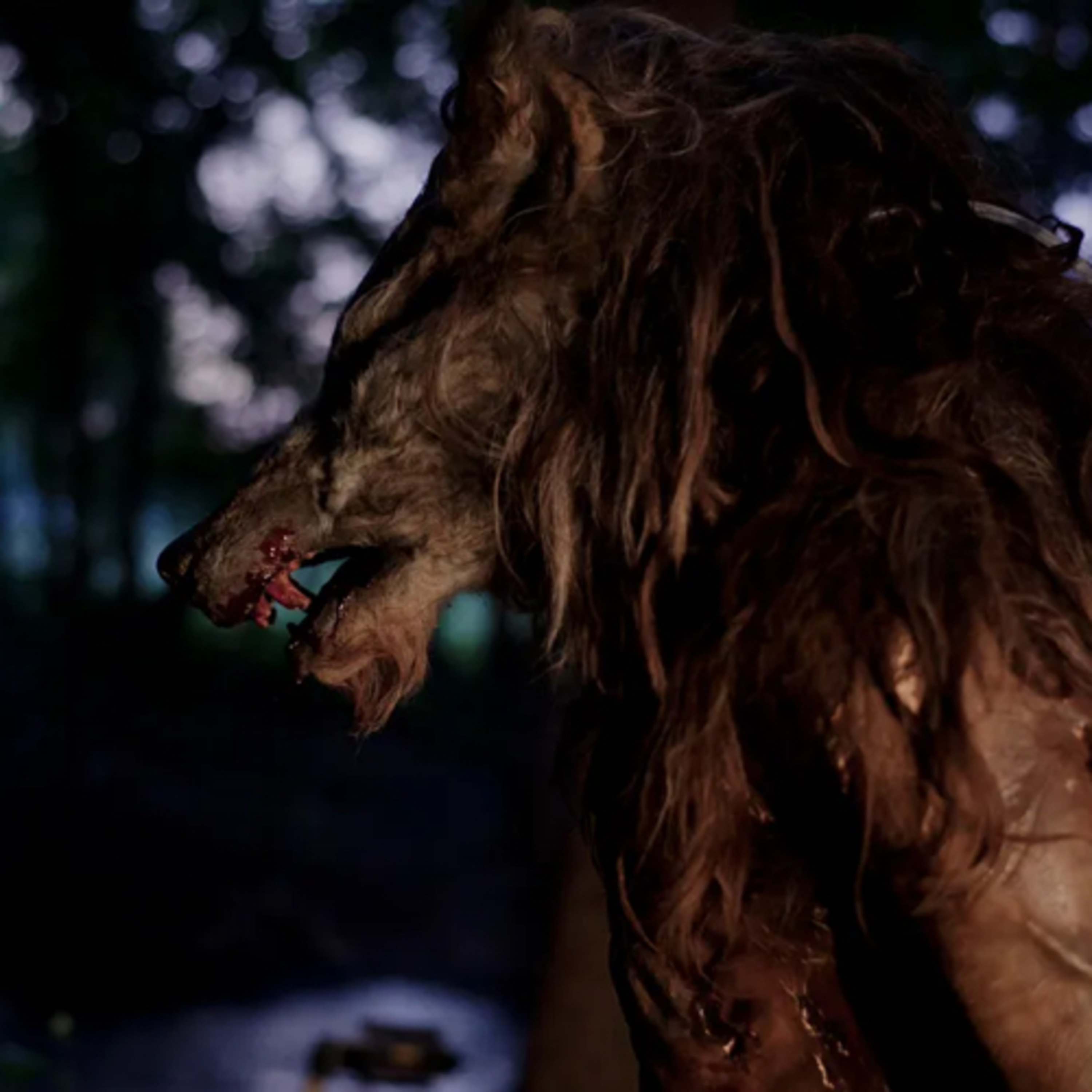 Episode 20: Dogman or Shapeshifter? episode artwork