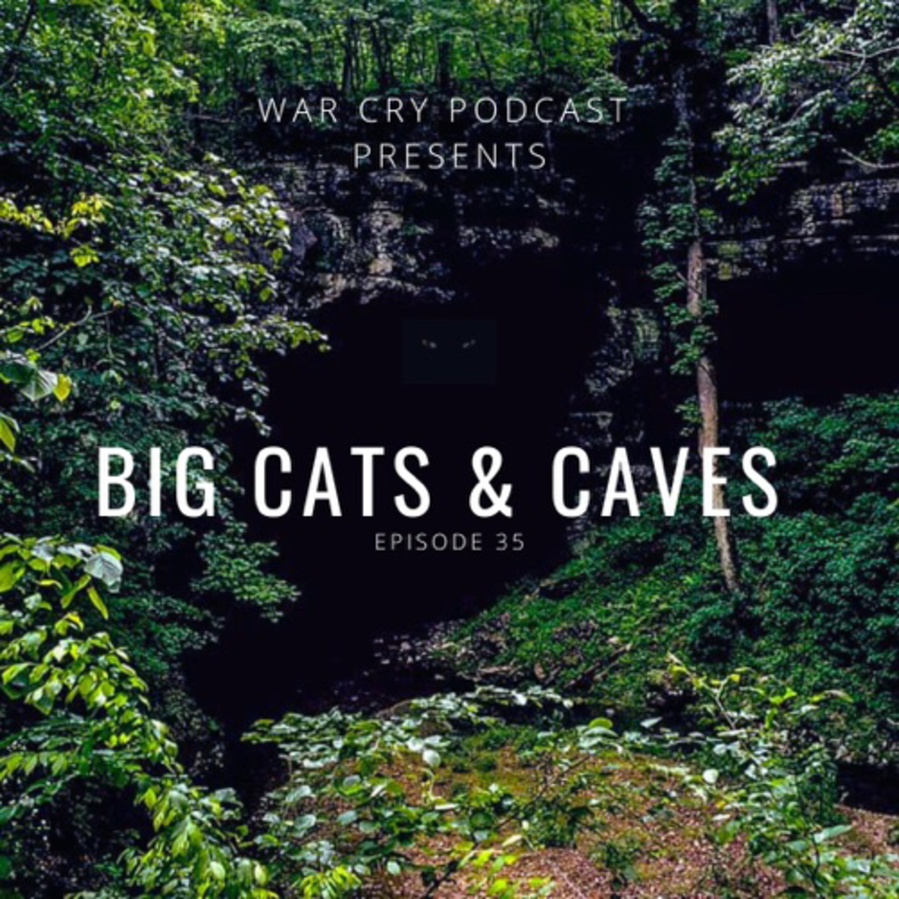 Episode 35: Big Cats & Caves episode artwork