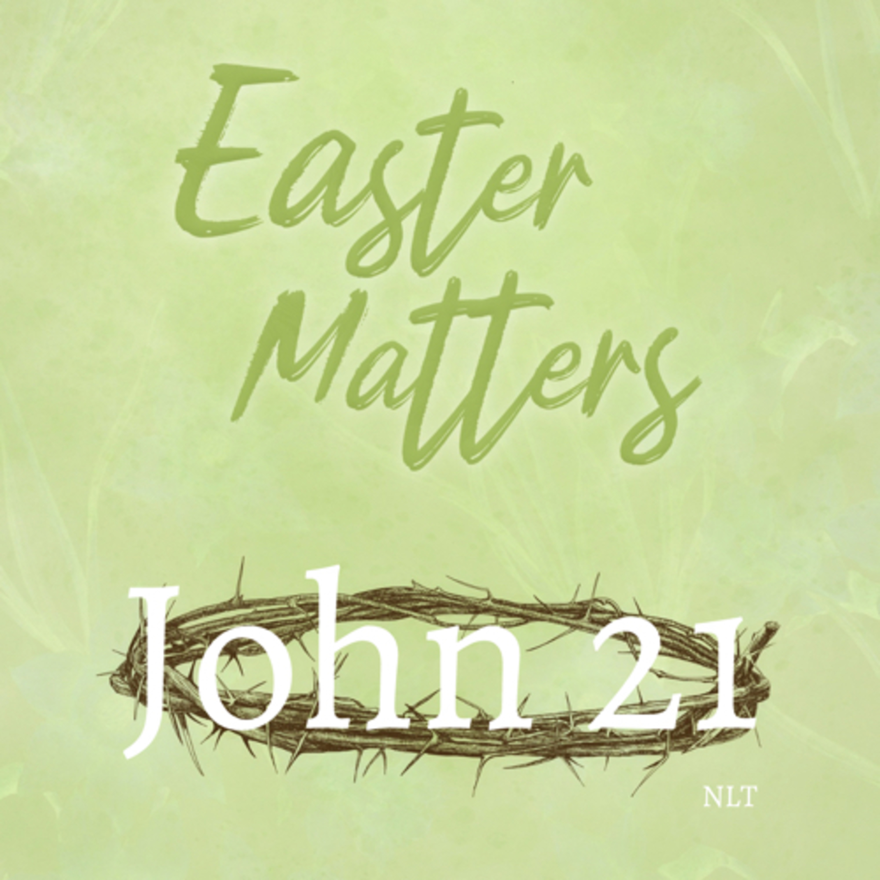 John Chapter 21  episode artwork