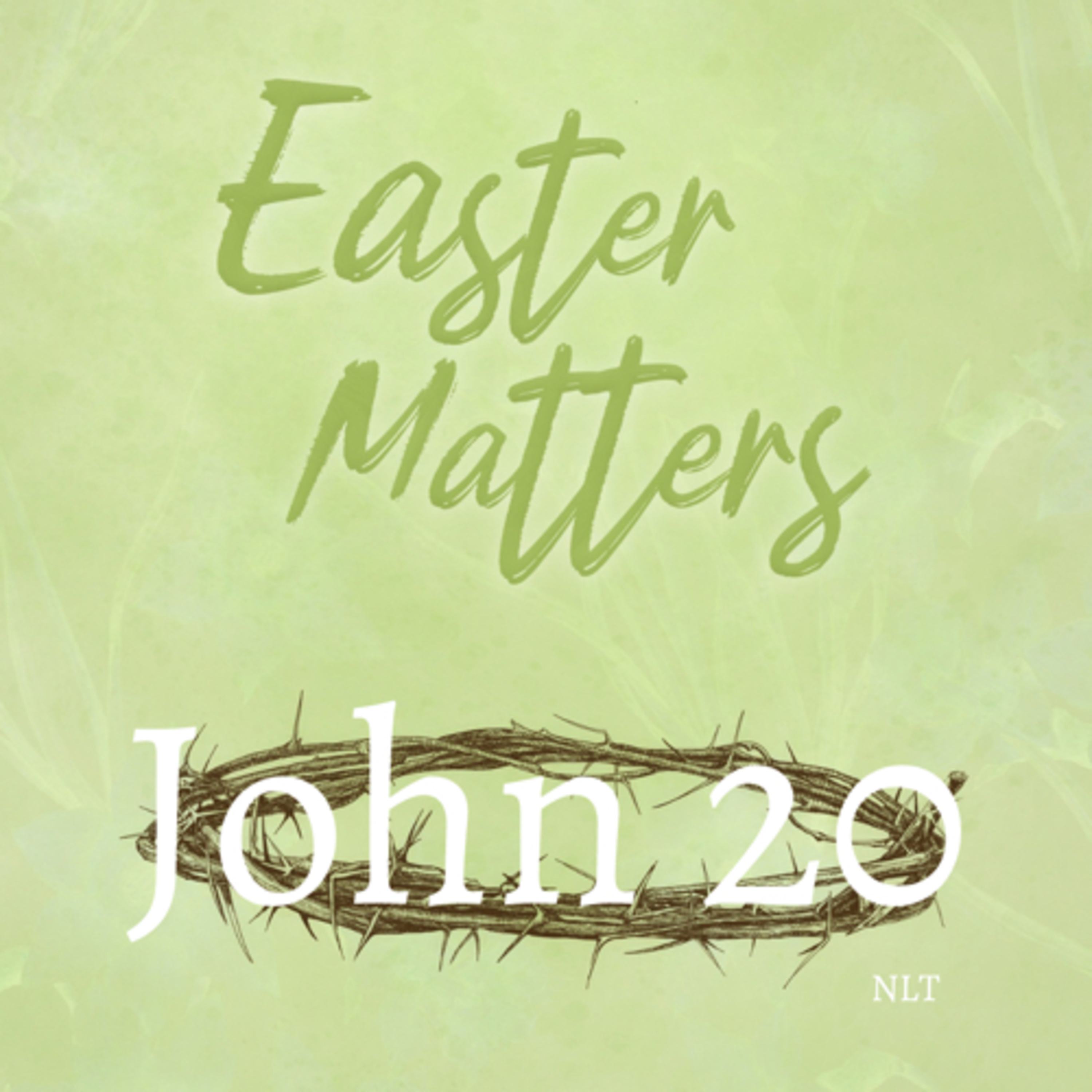 John Chapter 20  episode artwork