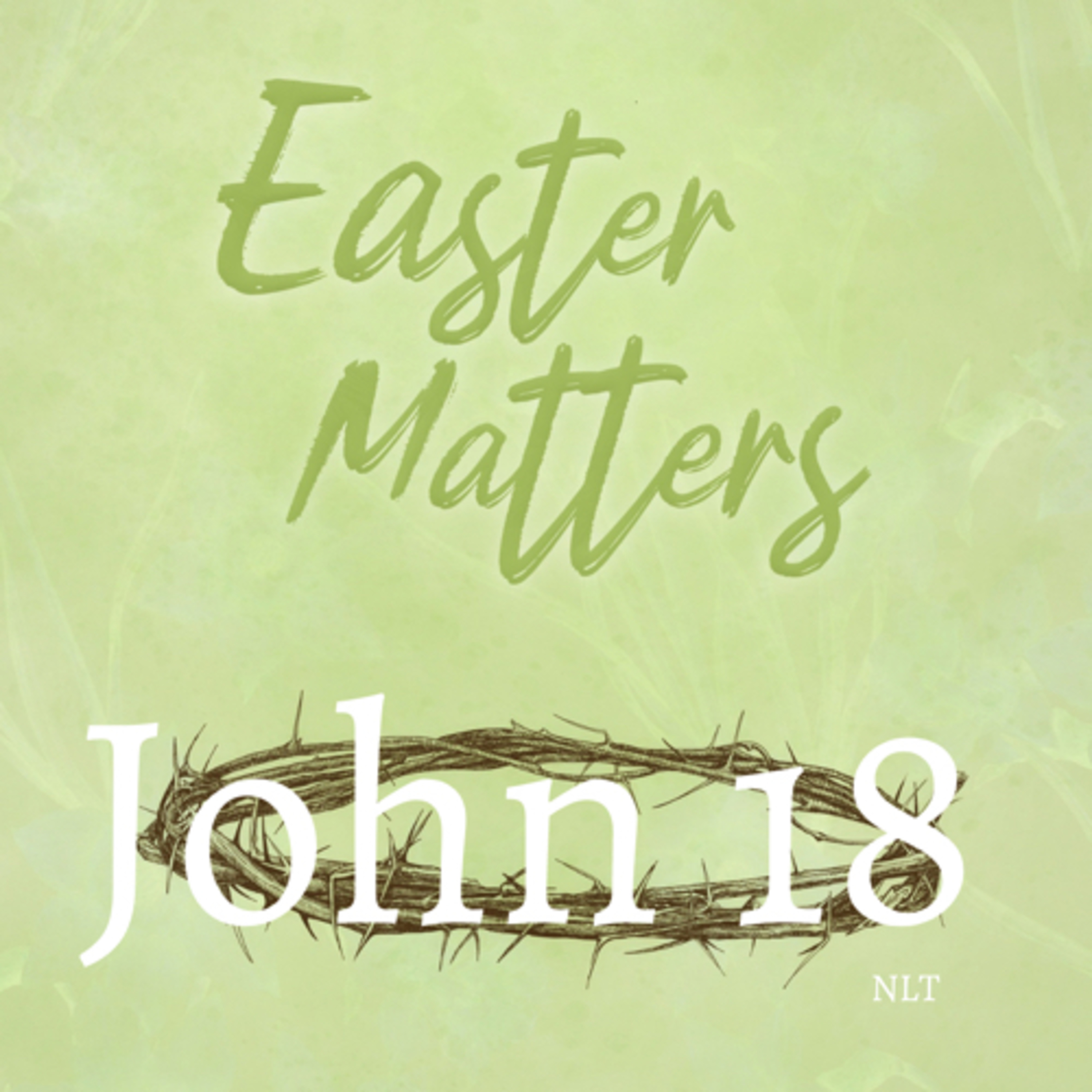 John Chapter 18  episode artwork
