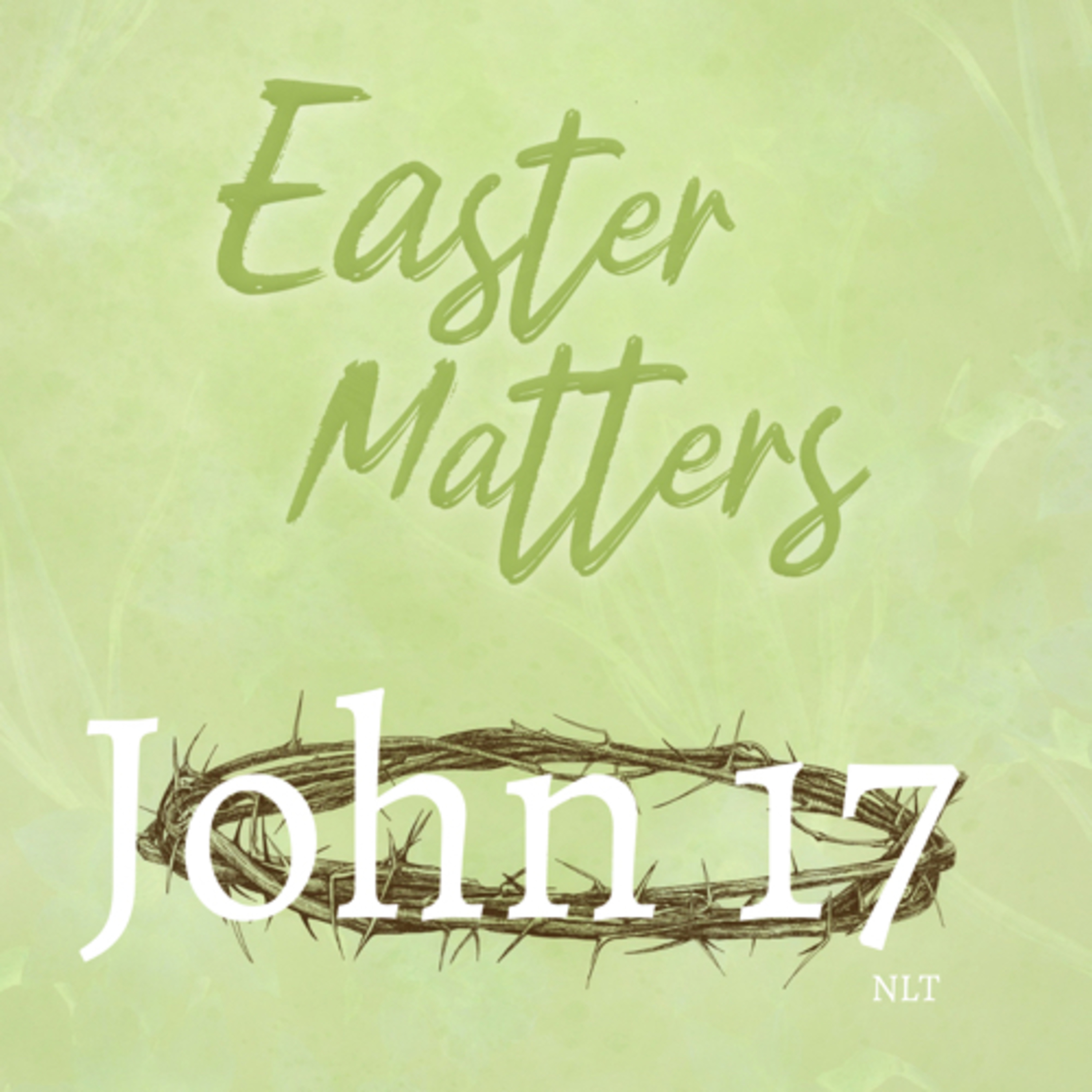 John Chapter 17  episode artwork