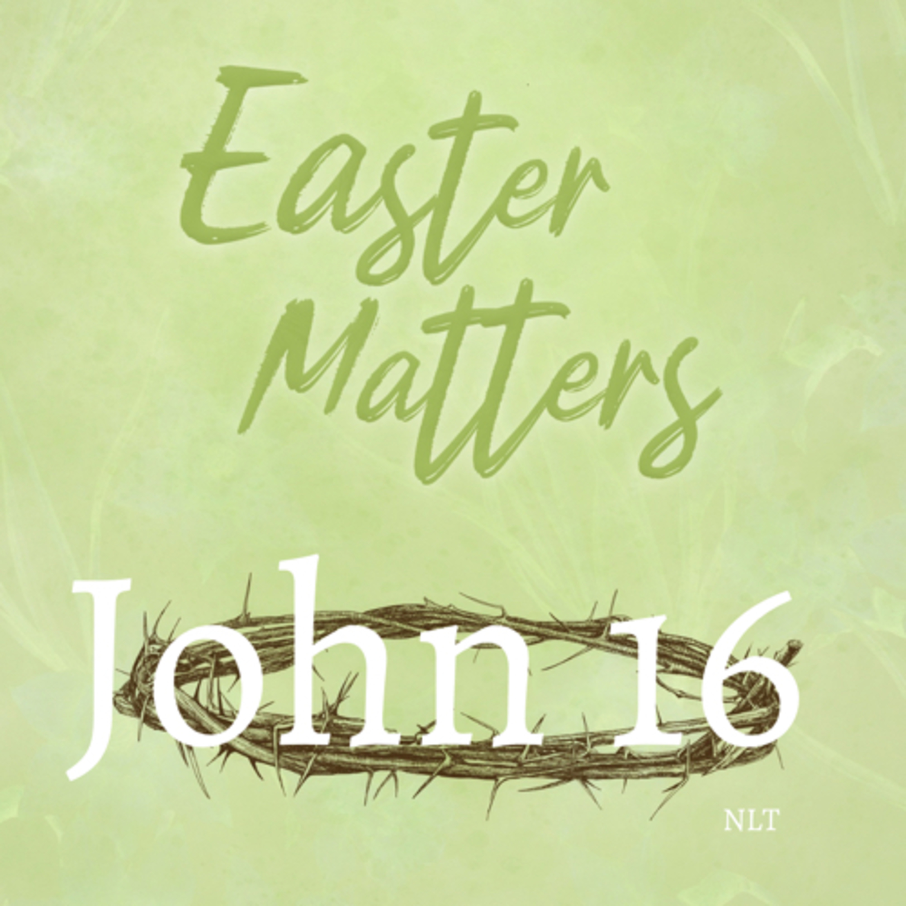 John Chapter 16  episode artwork