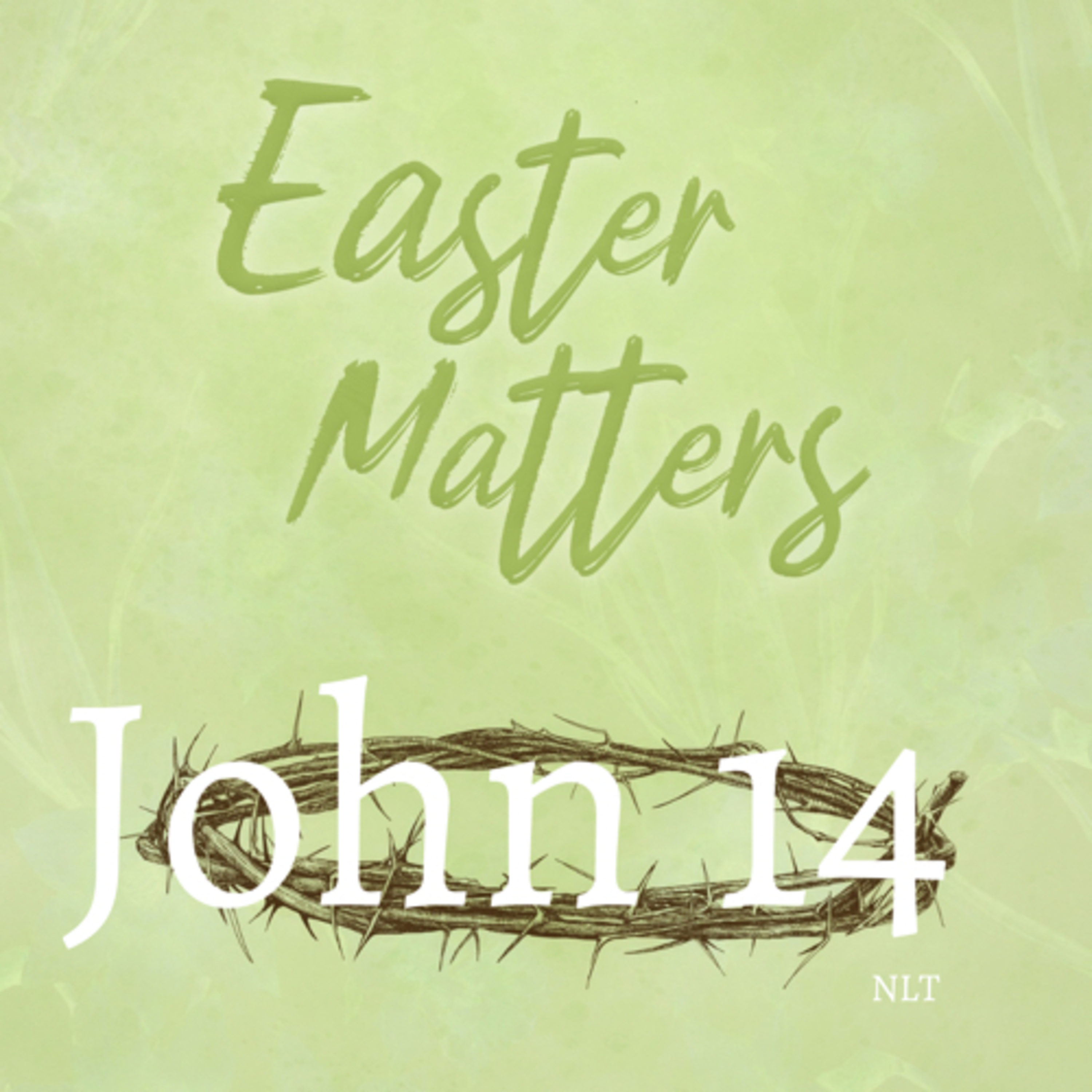 John Chapter 14  episode artwork