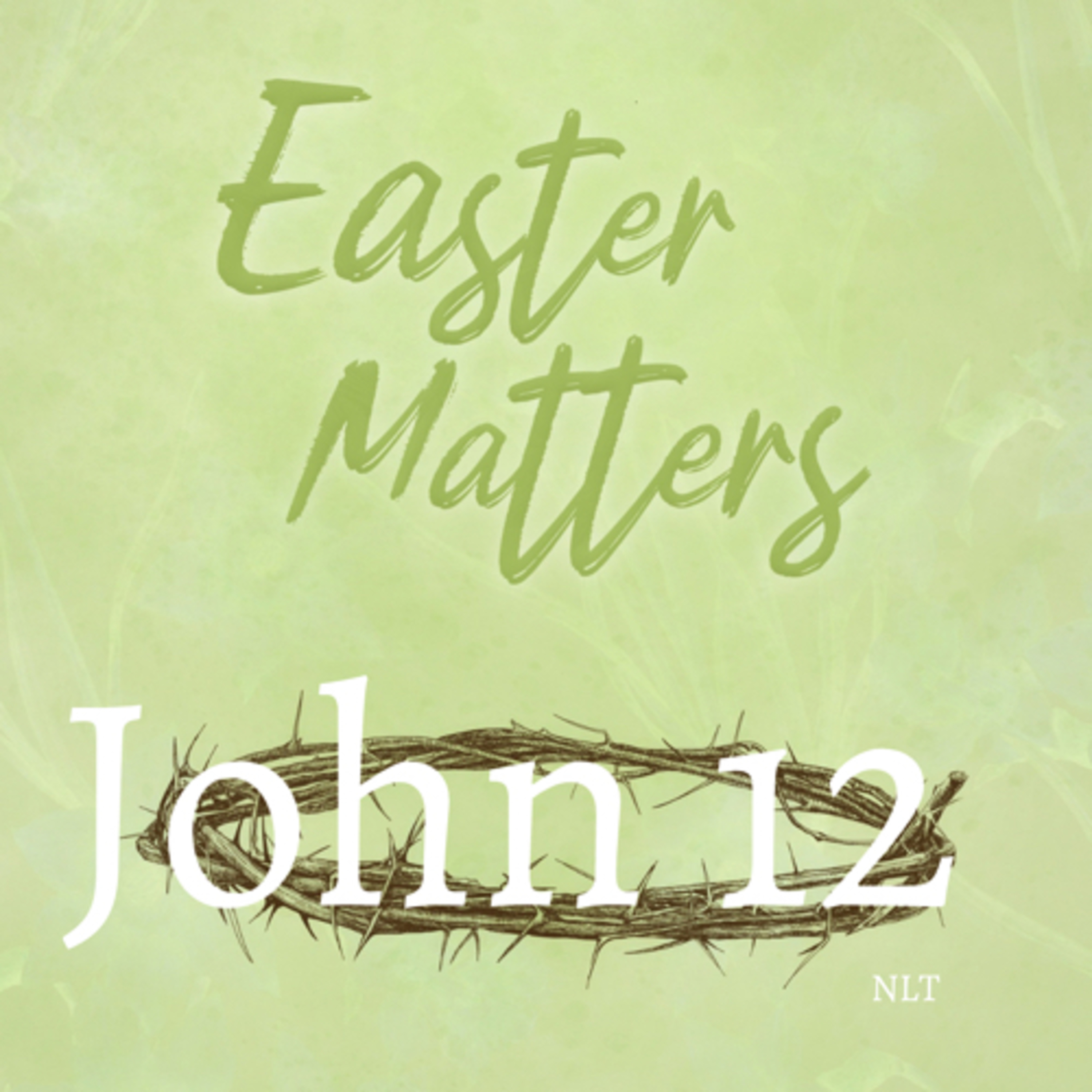 John Chapter 12 episode artwork