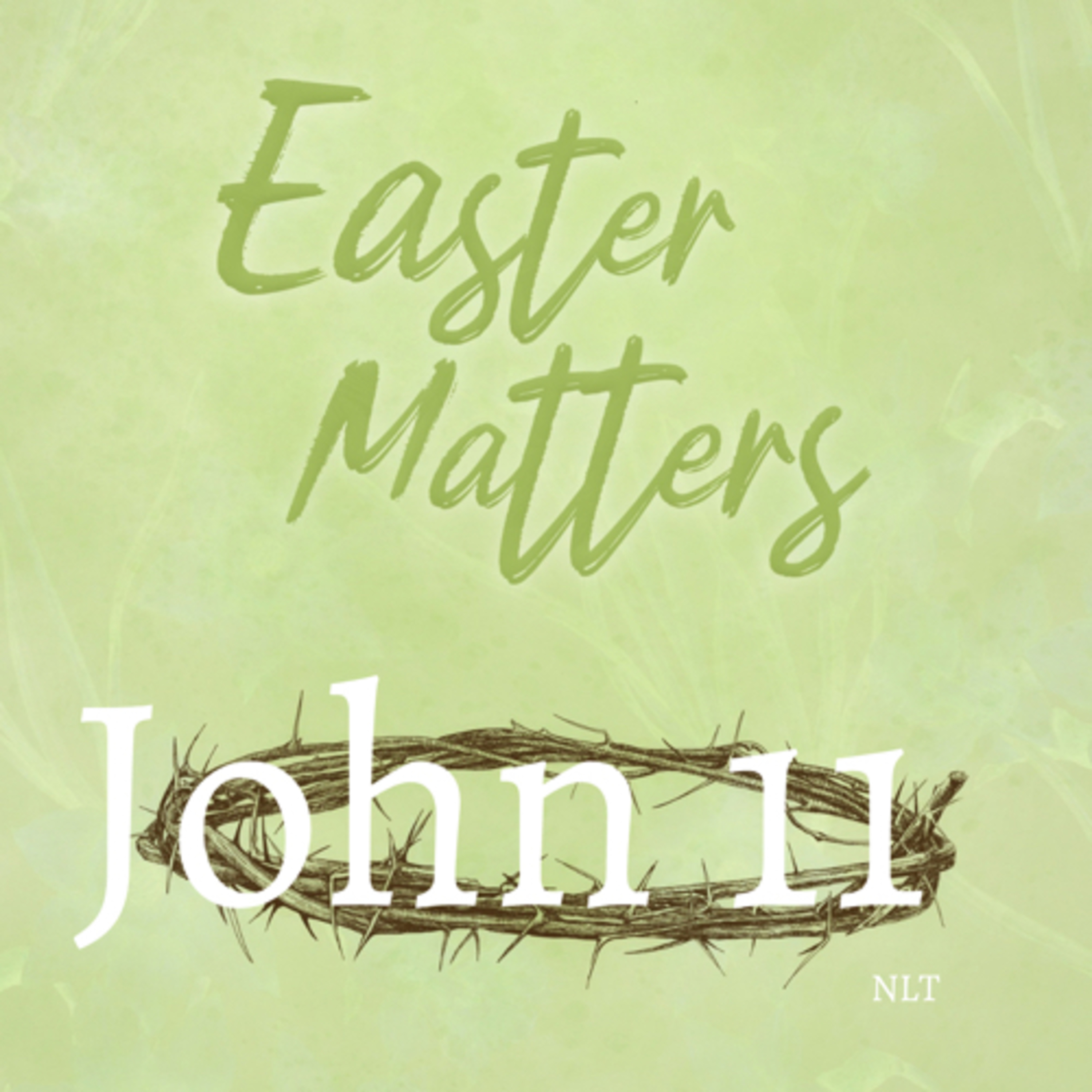 John Chapter 11  episode artwork