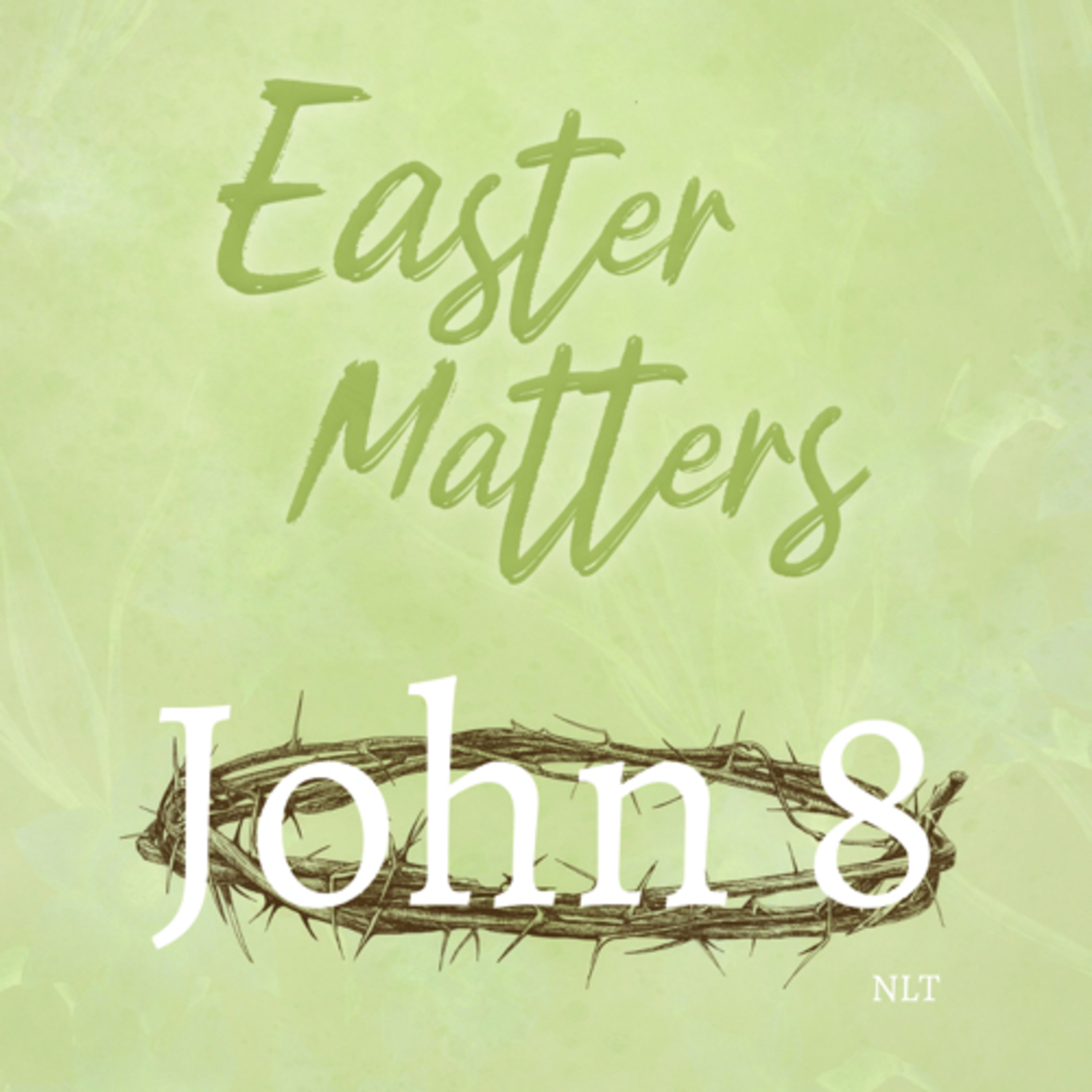 John Chapter 8 episode artwork
