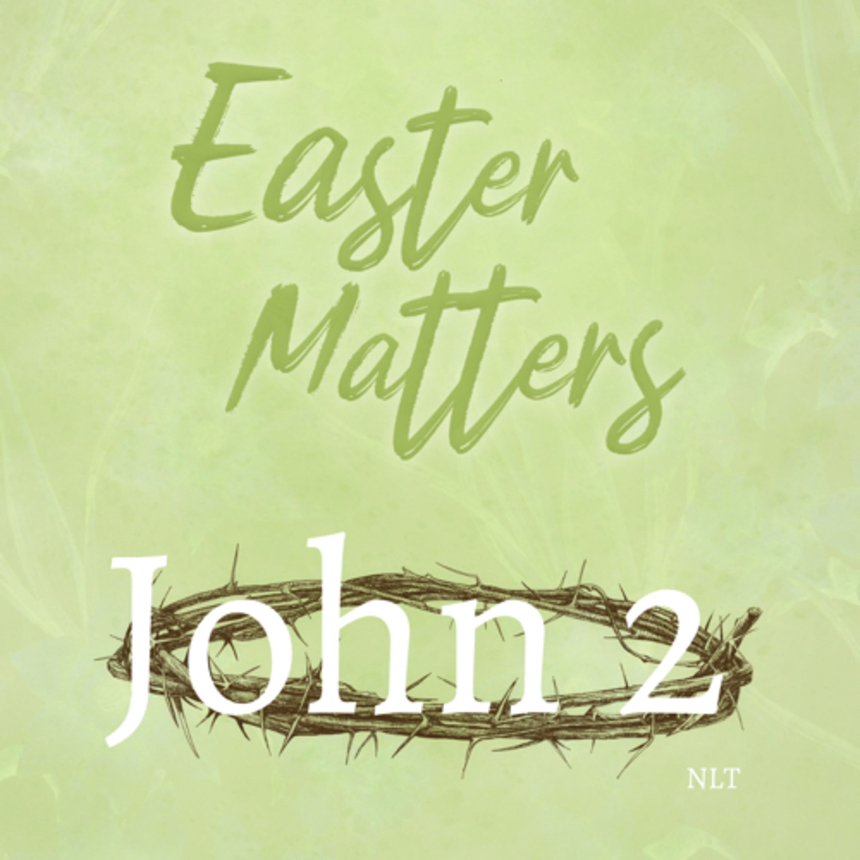 John Chapter 2  episode artwork