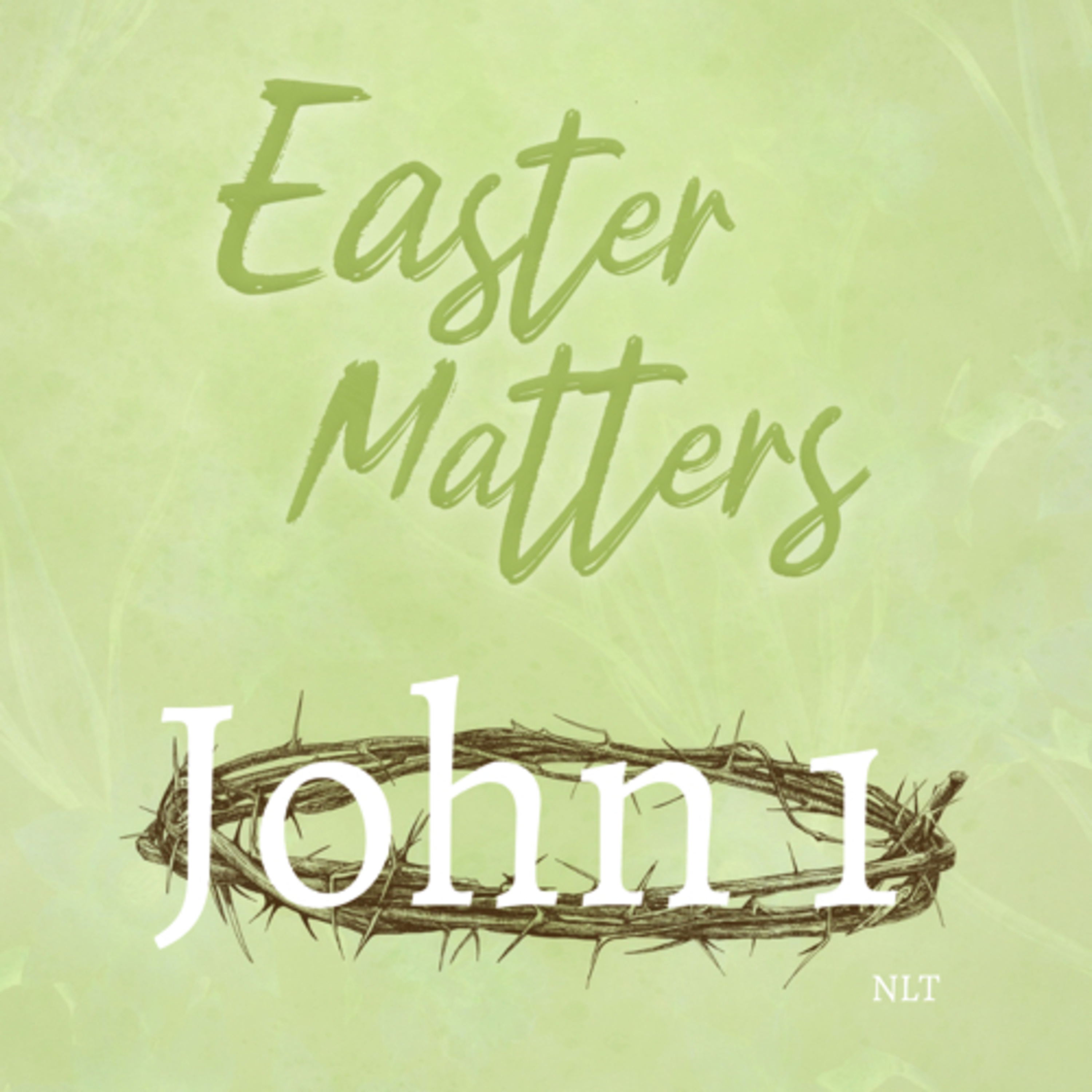 John Chapter 1 episode artwork