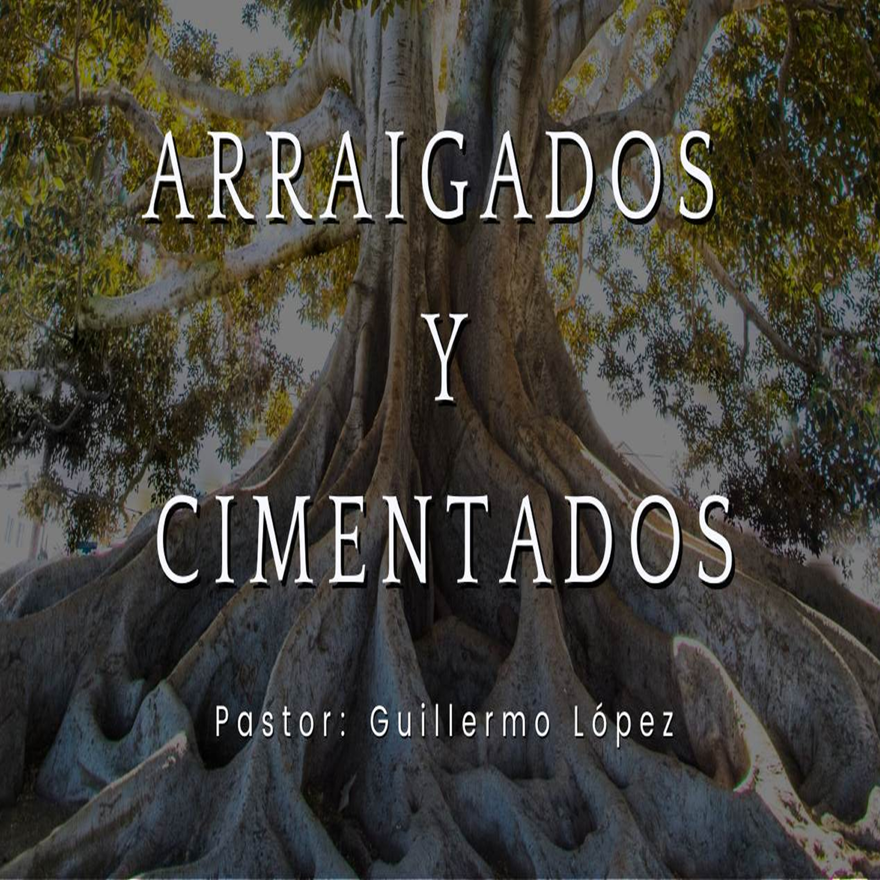 ARRAIGADOS Y CIMENTADOS | CHUY GARCIA | 22 ENE 2023 8:00 AM episode artwork