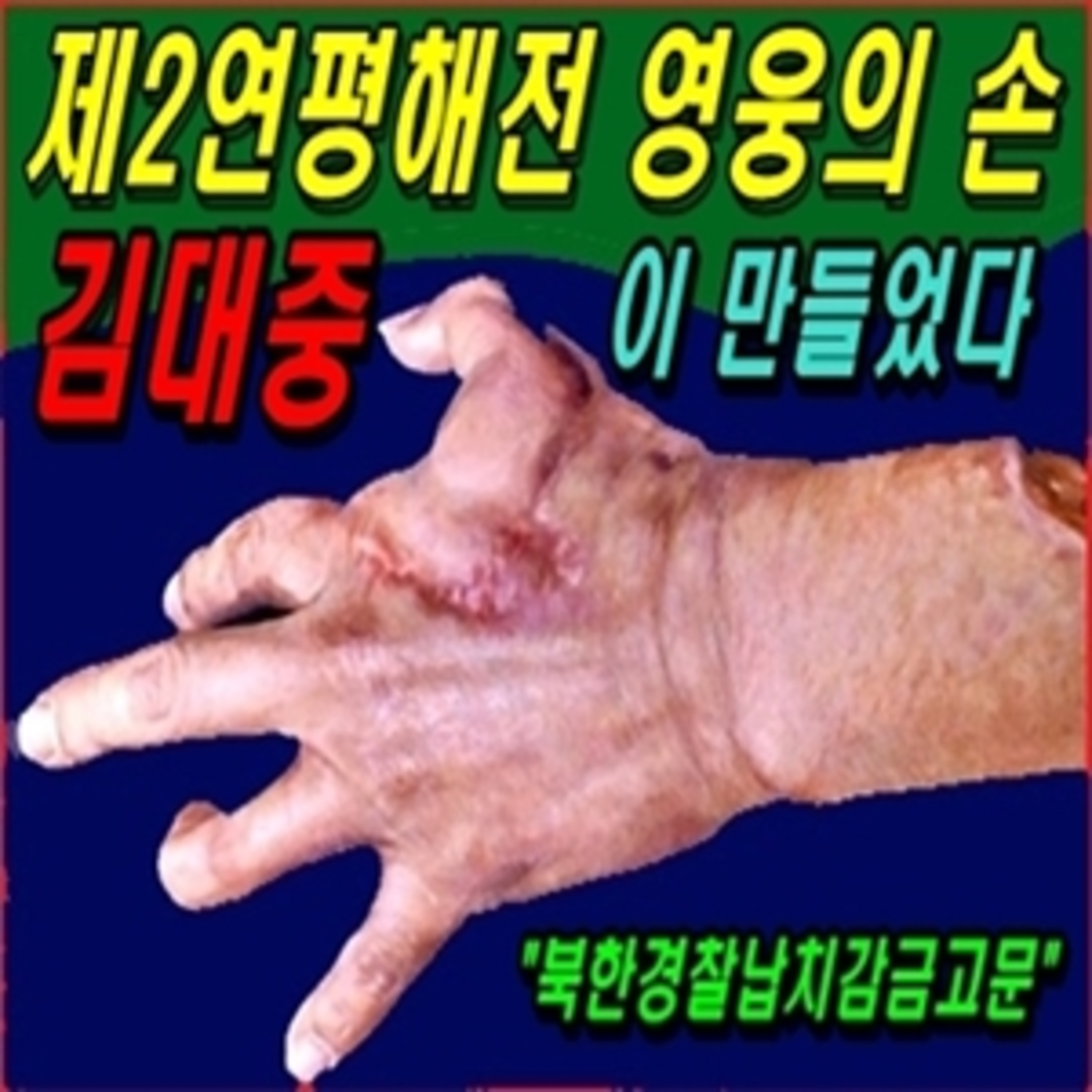 [애국시민] 제2연평해전 영웅의 손, 김대중이 만들었다 episode artwork
