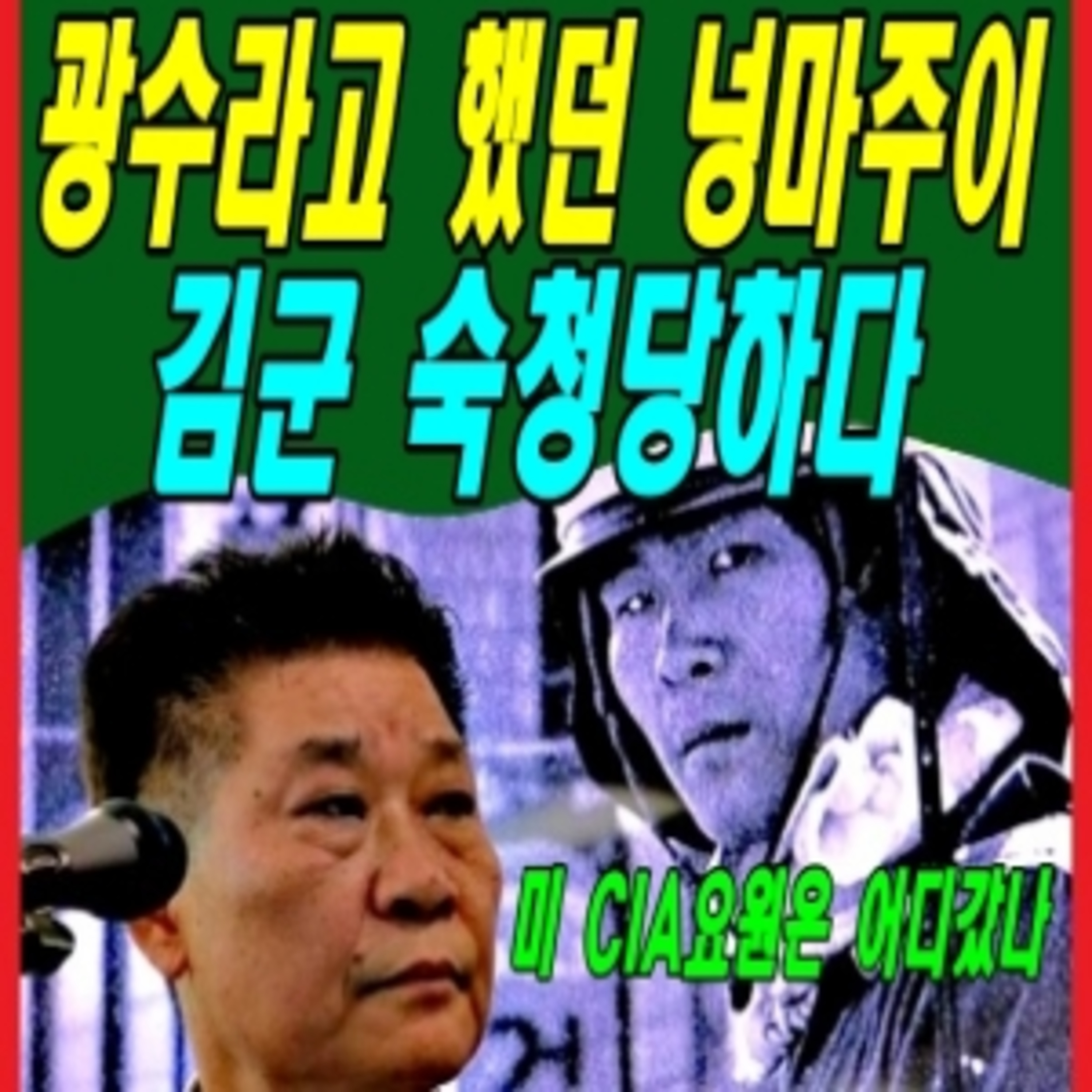 광수라고 했던 넝마주이 김군 숙청당하다  episode artwork