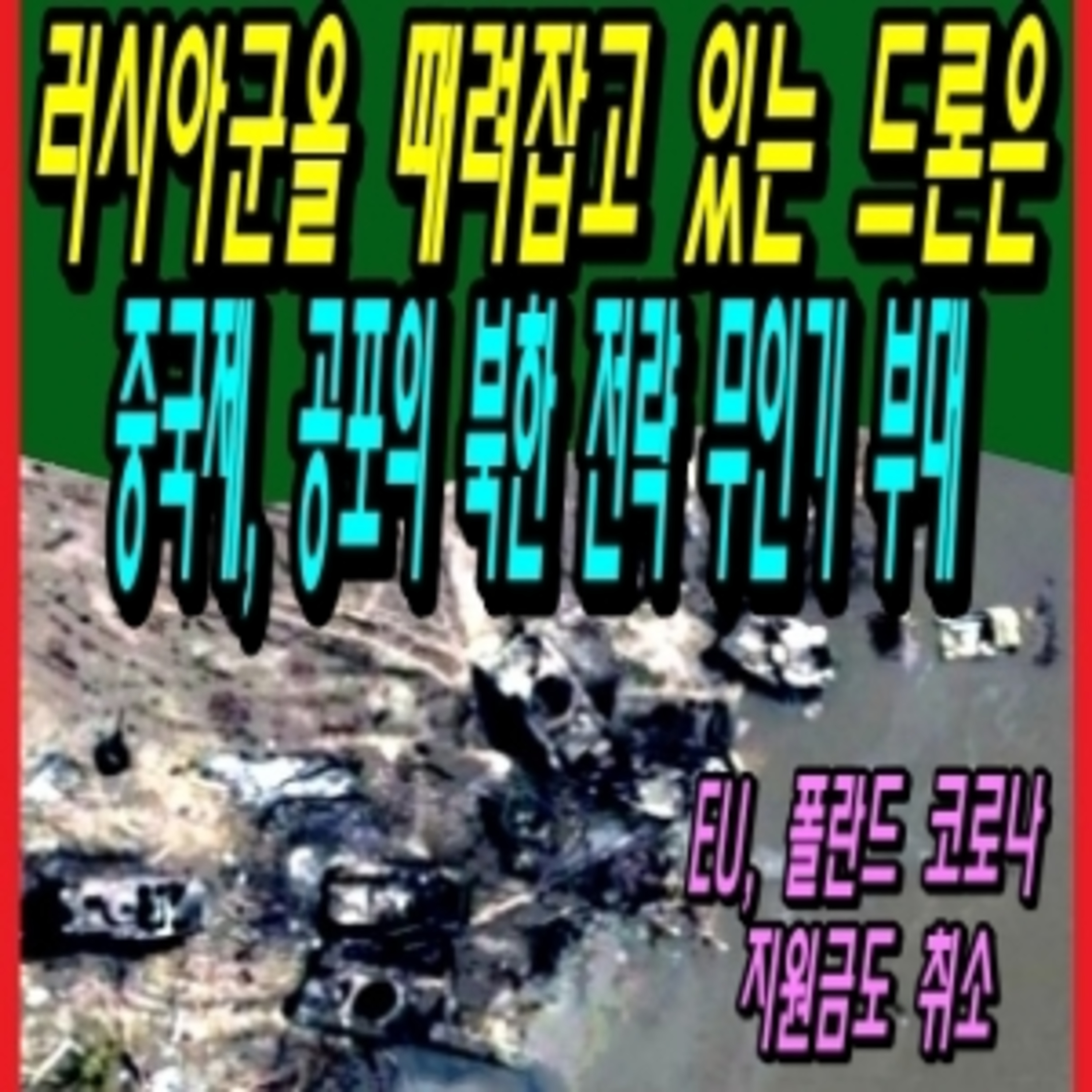 러시아군을 전멸시키는 드론은 중국제, 공포의 북한 전략 무인기 부대 episode artwork