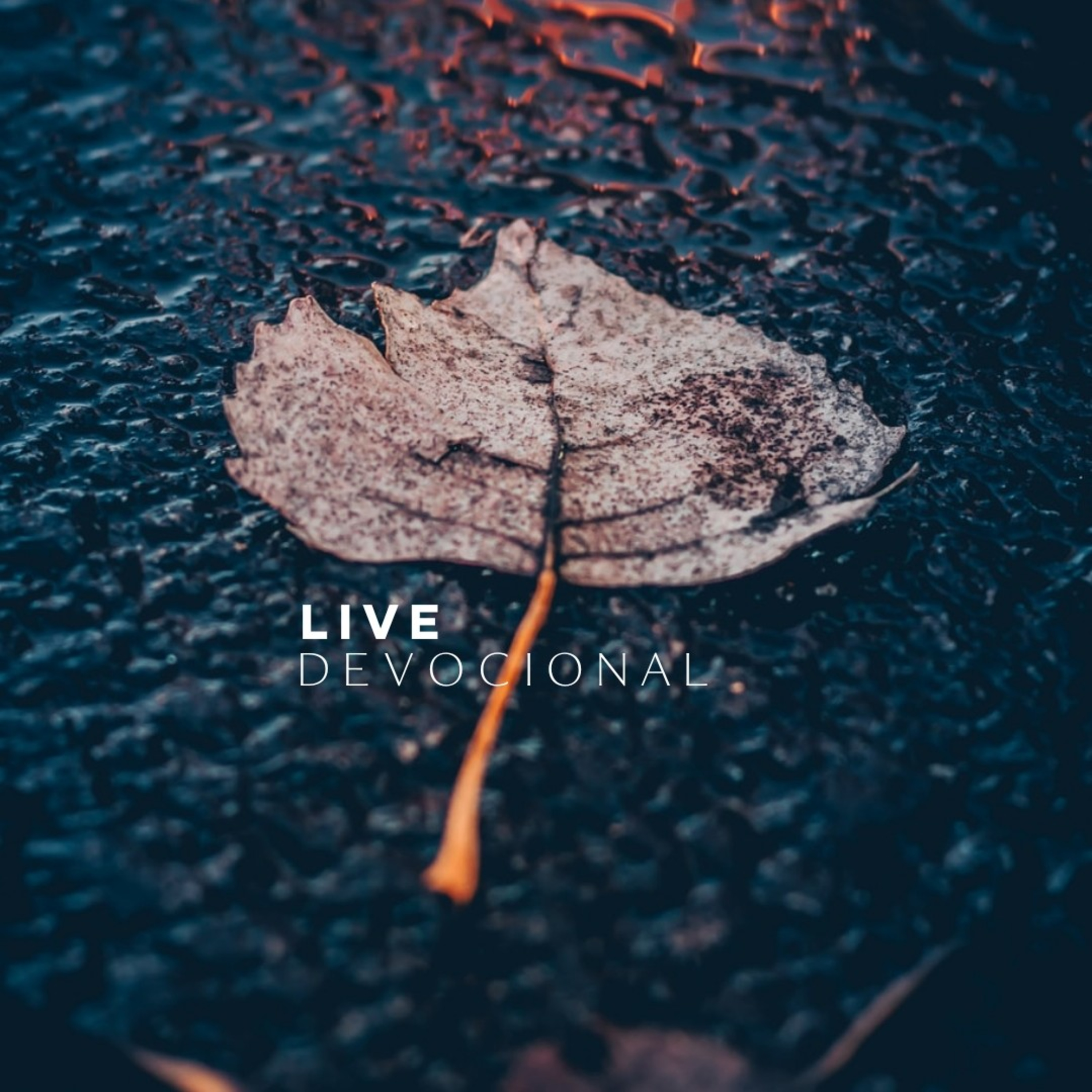 OLOR A LLUVIA  episode artwork