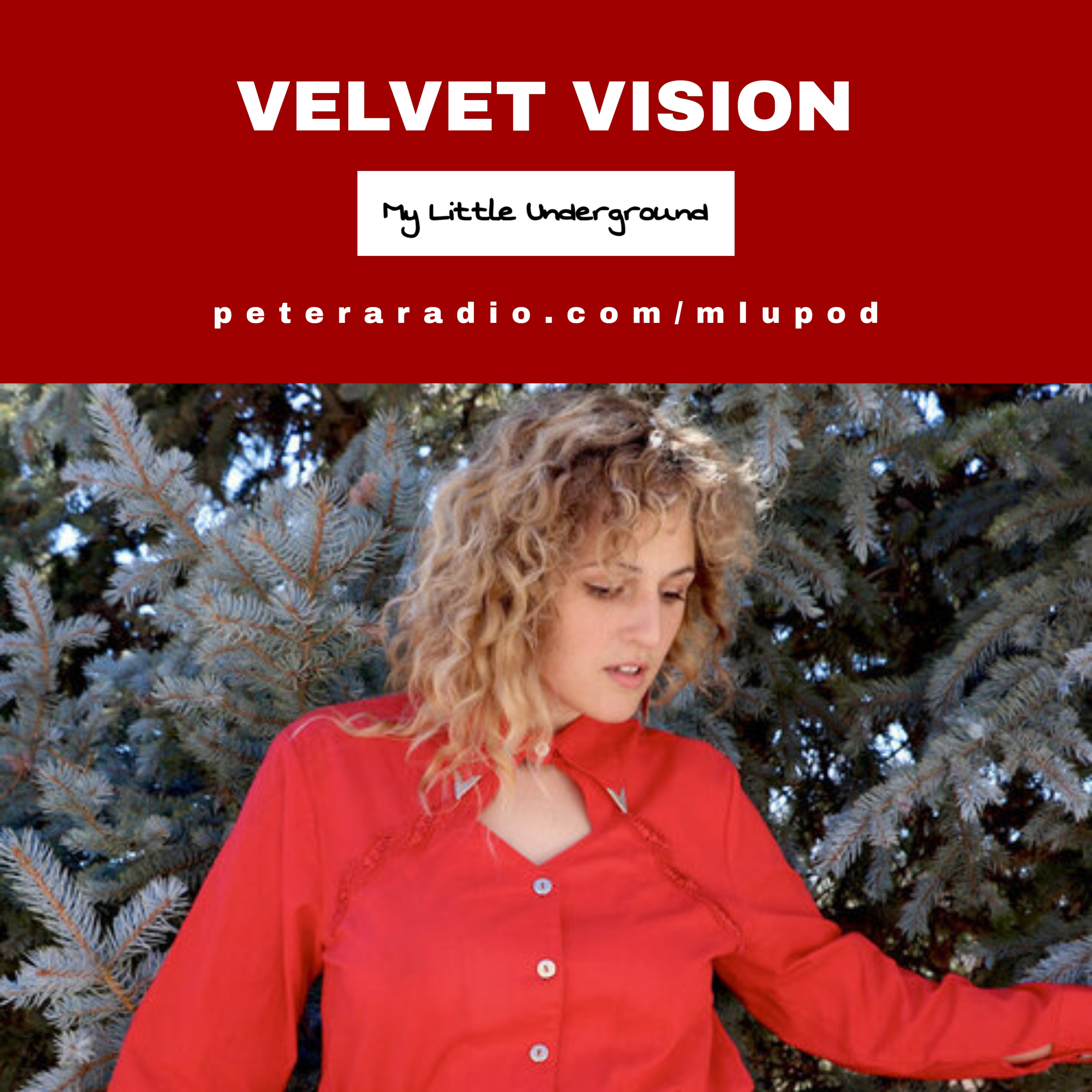 The Vision of Velvet Vision  episode artwork