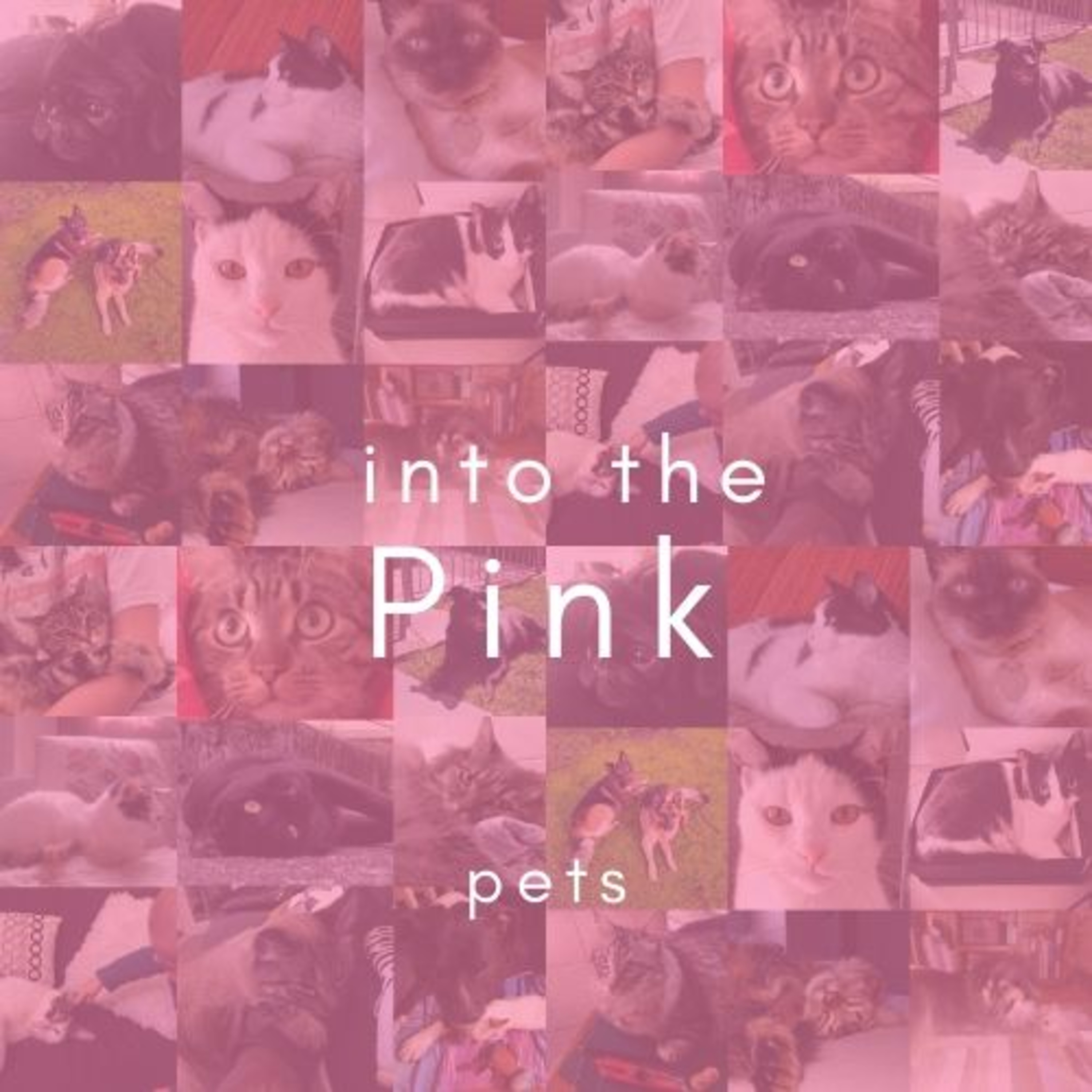 Into the Pink