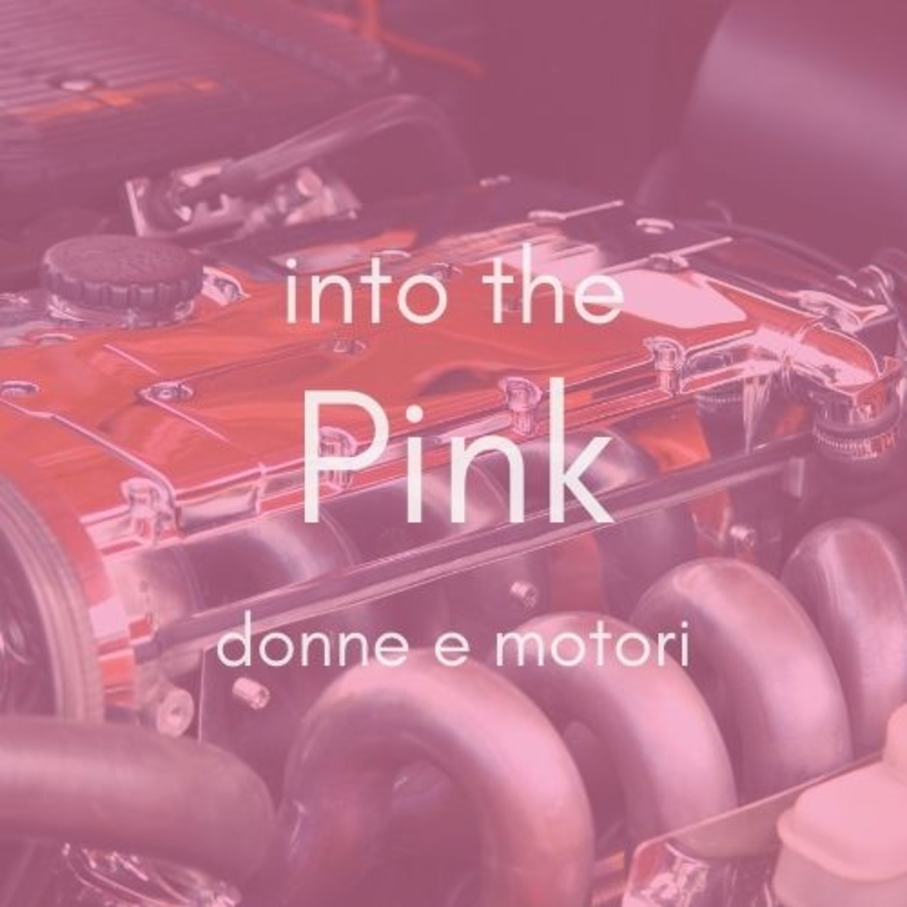 Into the Pink