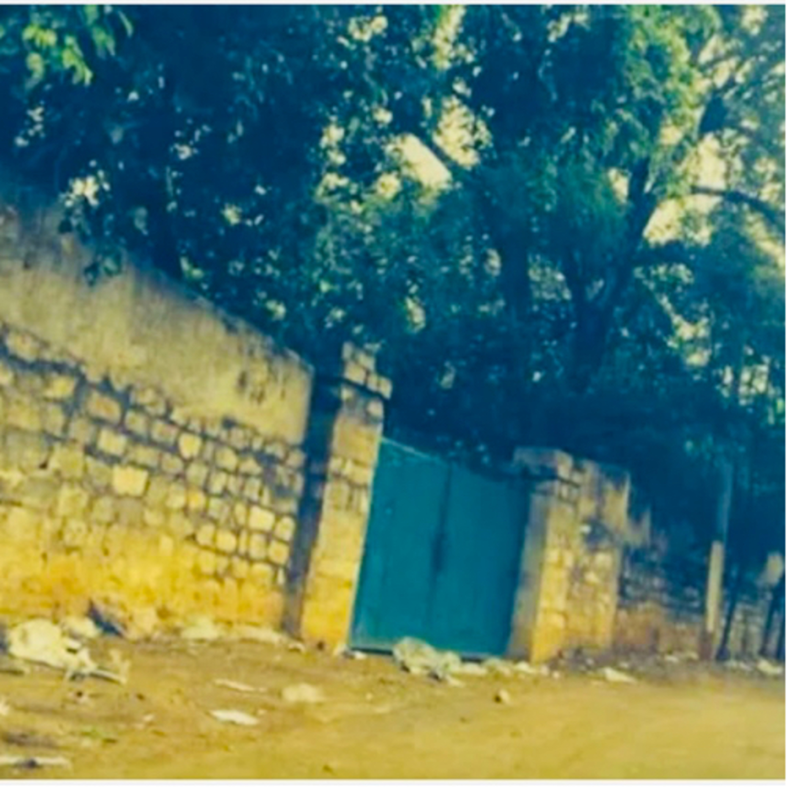 Desi Horror