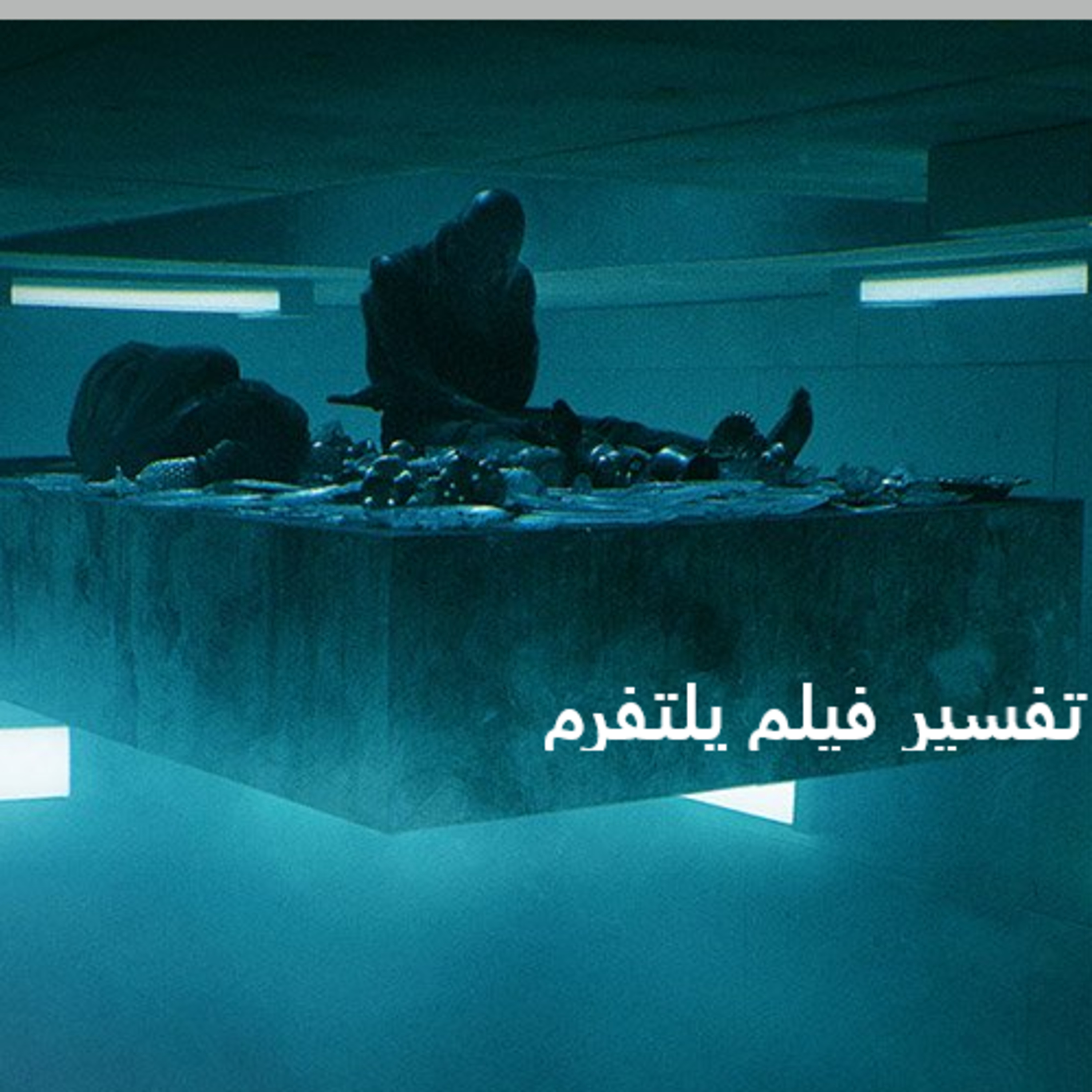 کاور Platform Movie-فیلم سکو یا پلتفرم