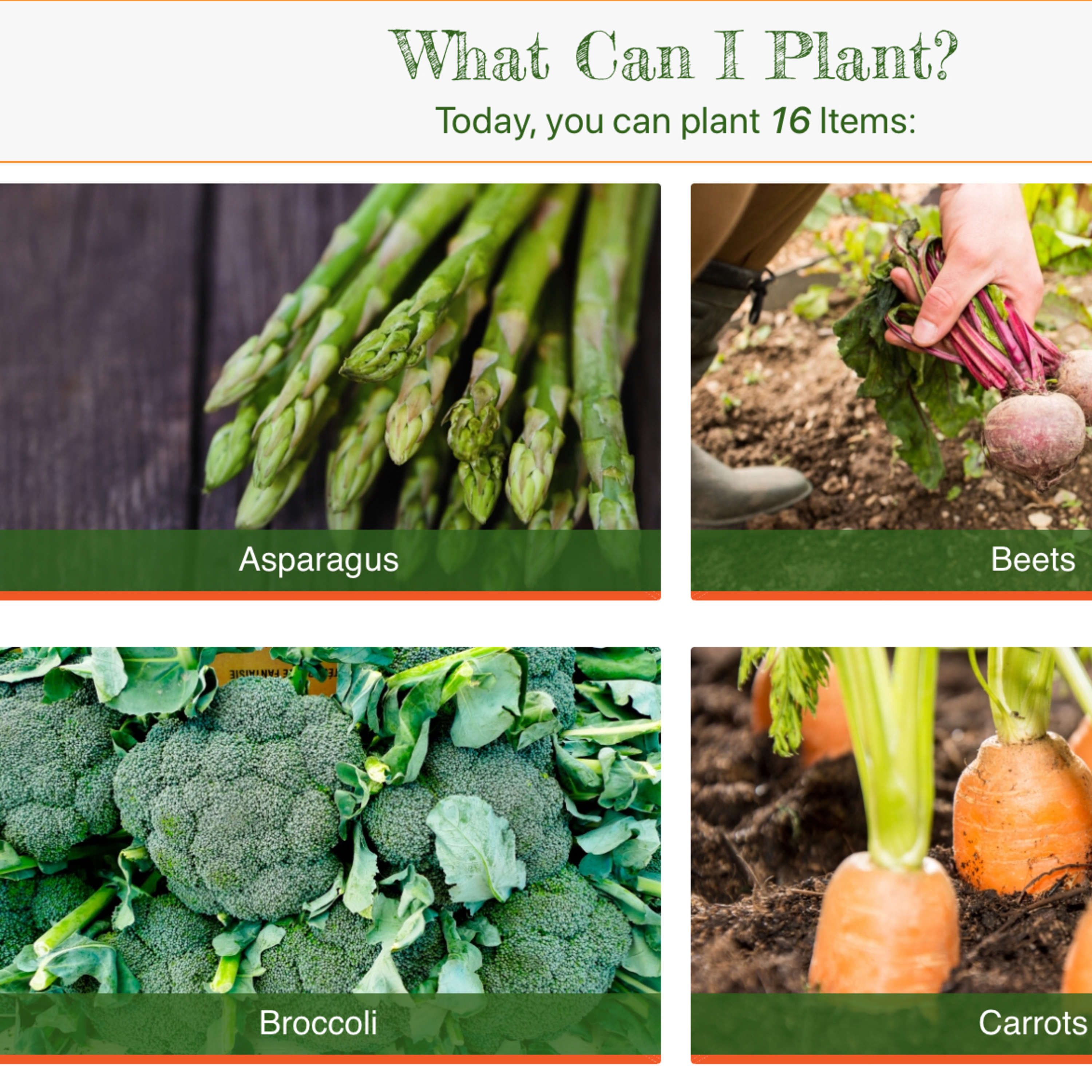 What to grow in March