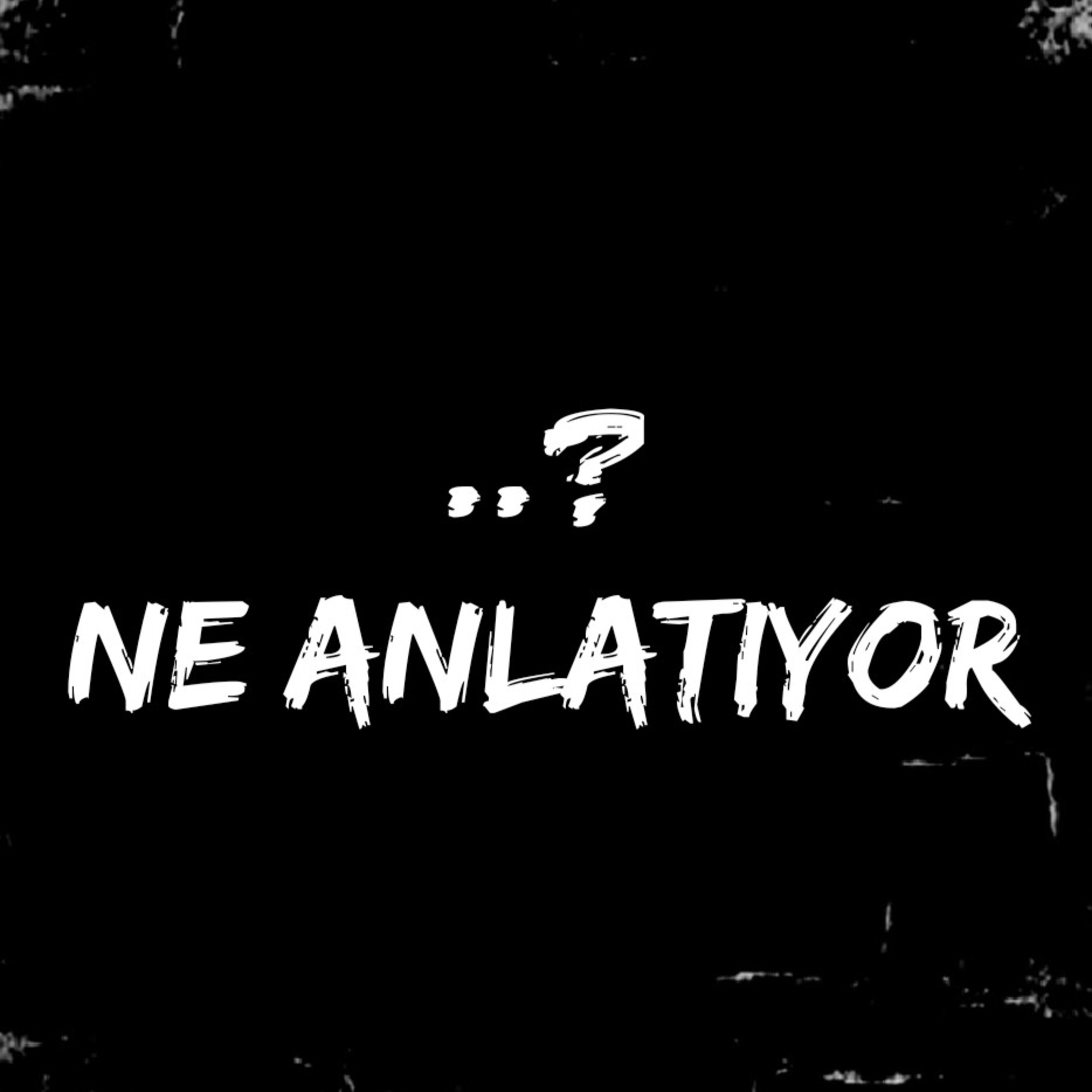 Ne Anlatıyor