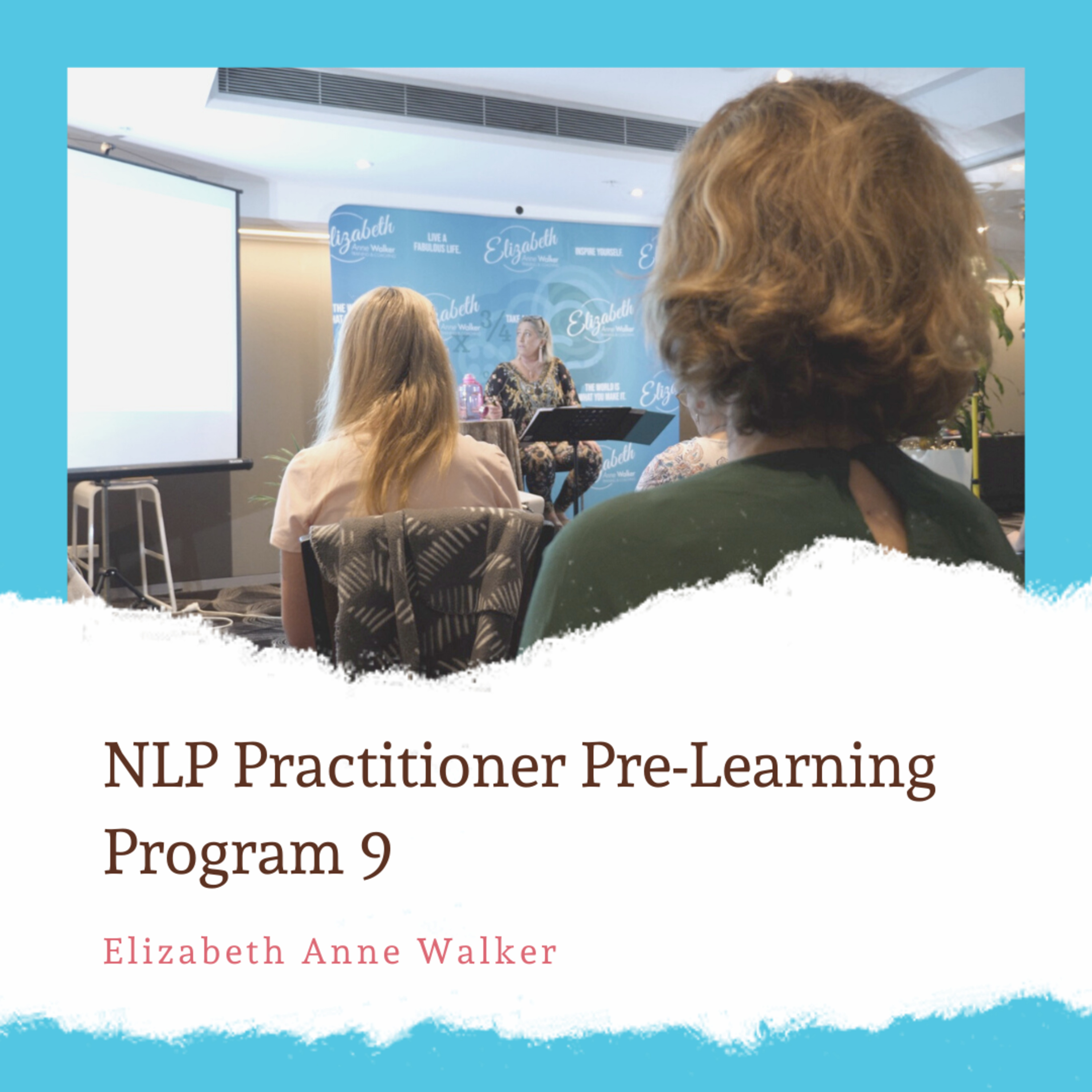 NLP Practitioner Content