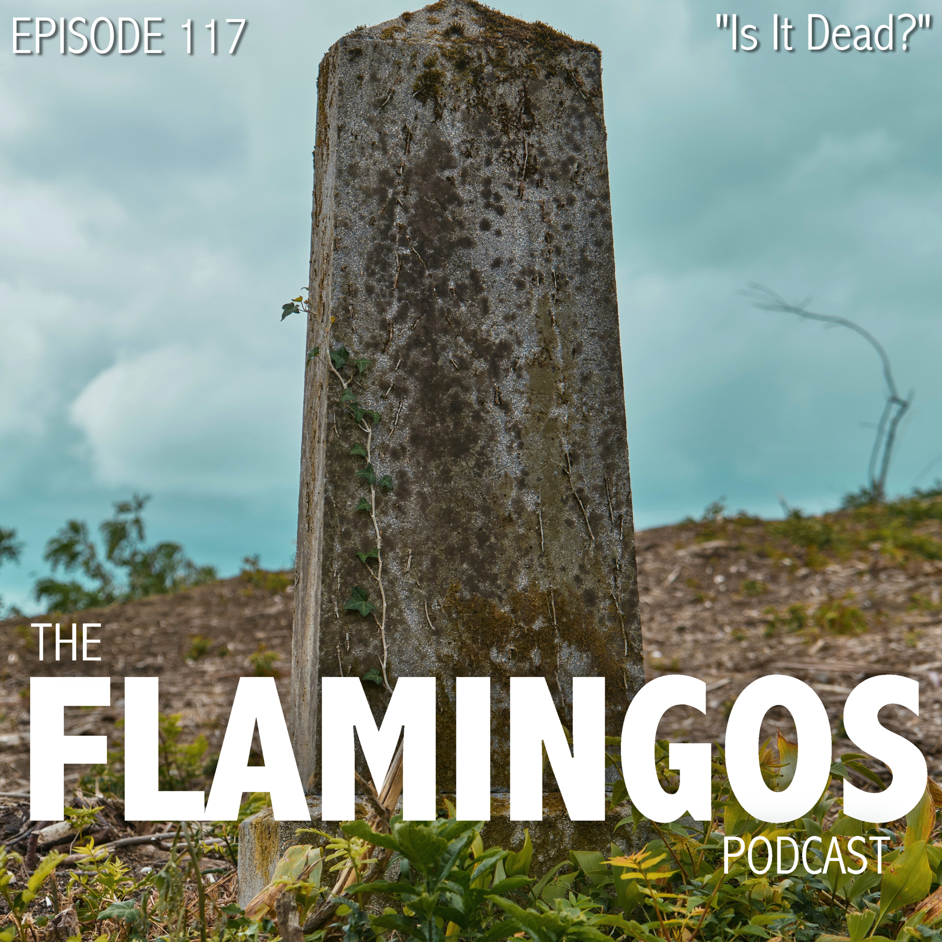 Episode 117 | "Is It Dead?"