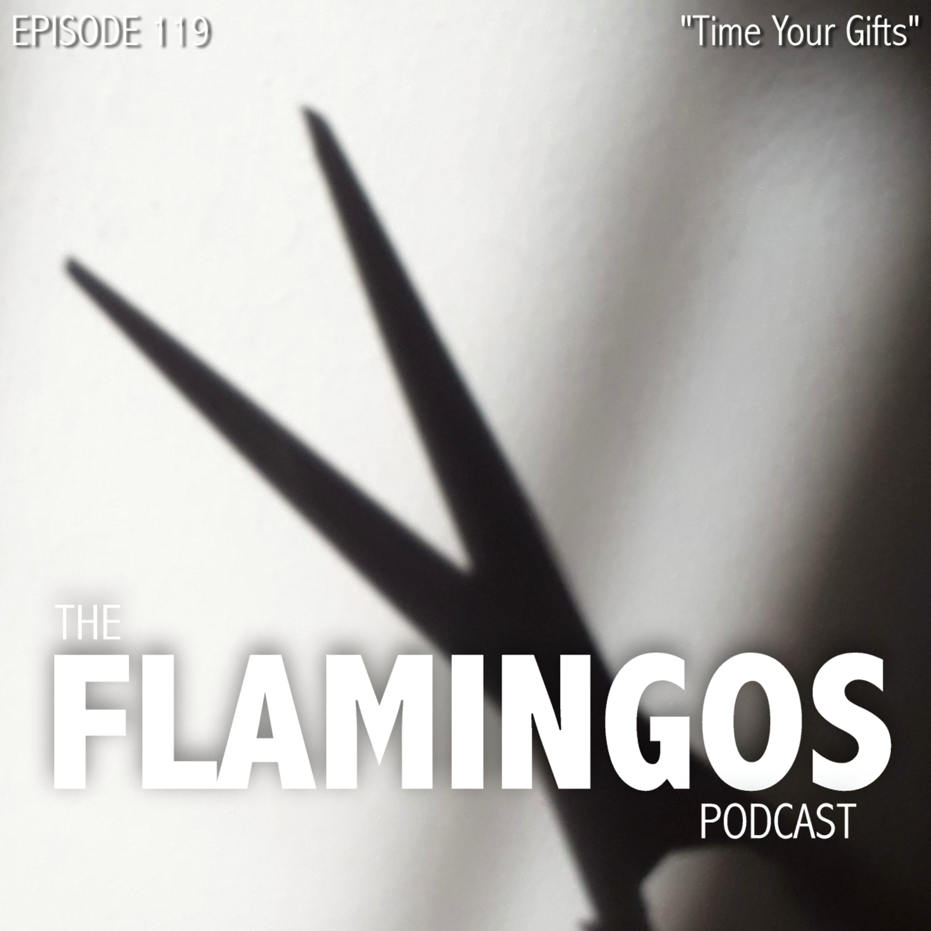 Episode 119 | "Time Your Gifts"