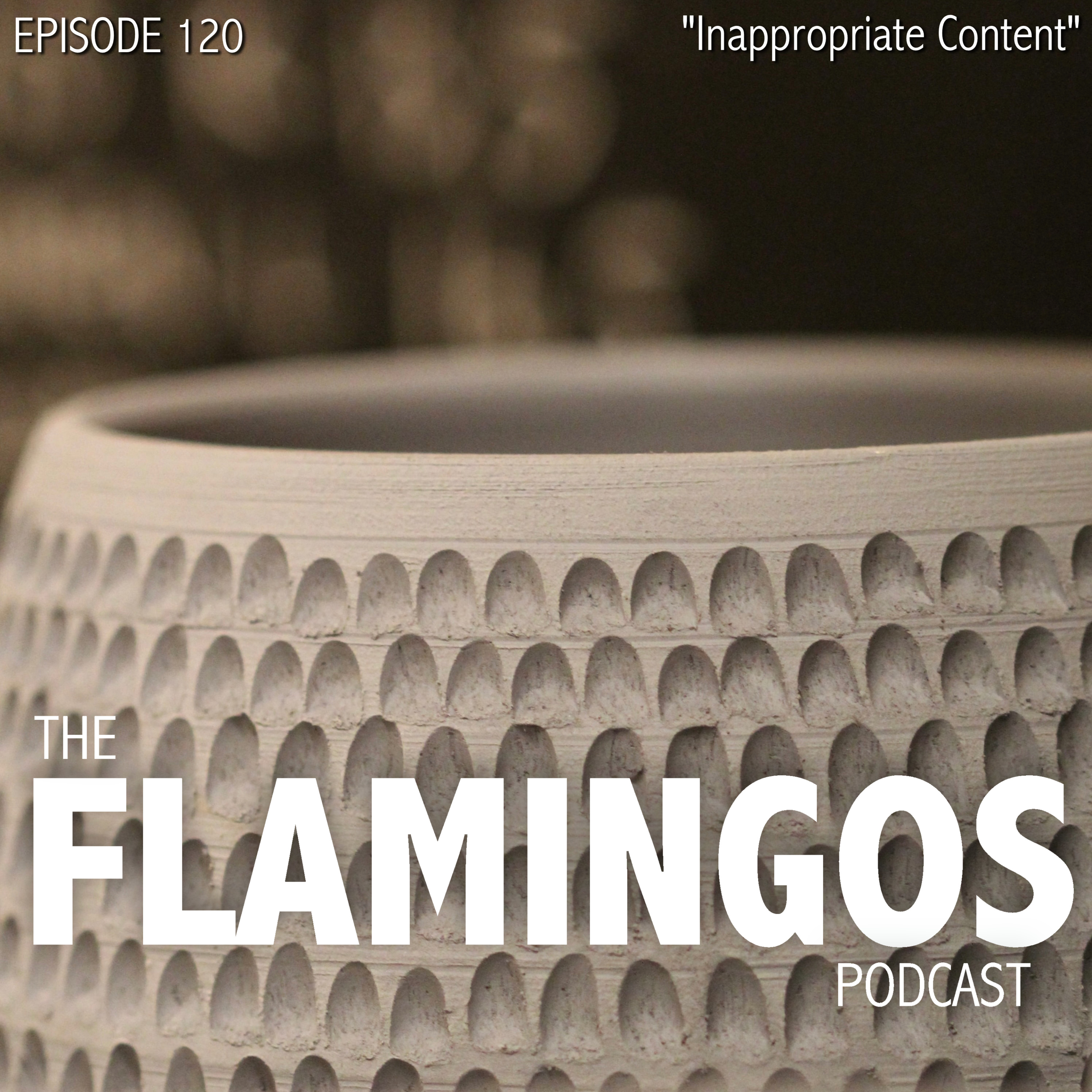 Episode 120 | "Inappropriate Content"