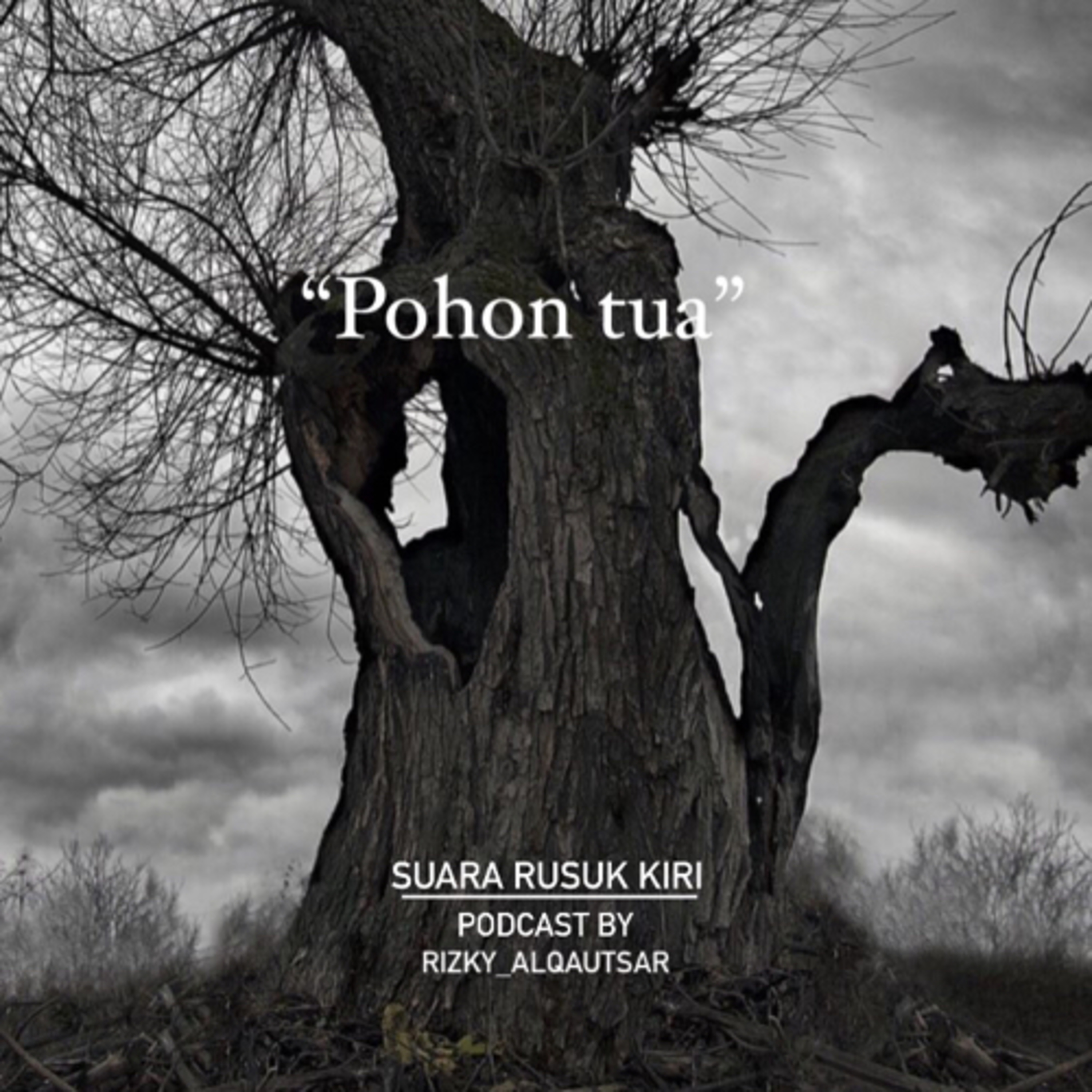 Suara rusuk kiri