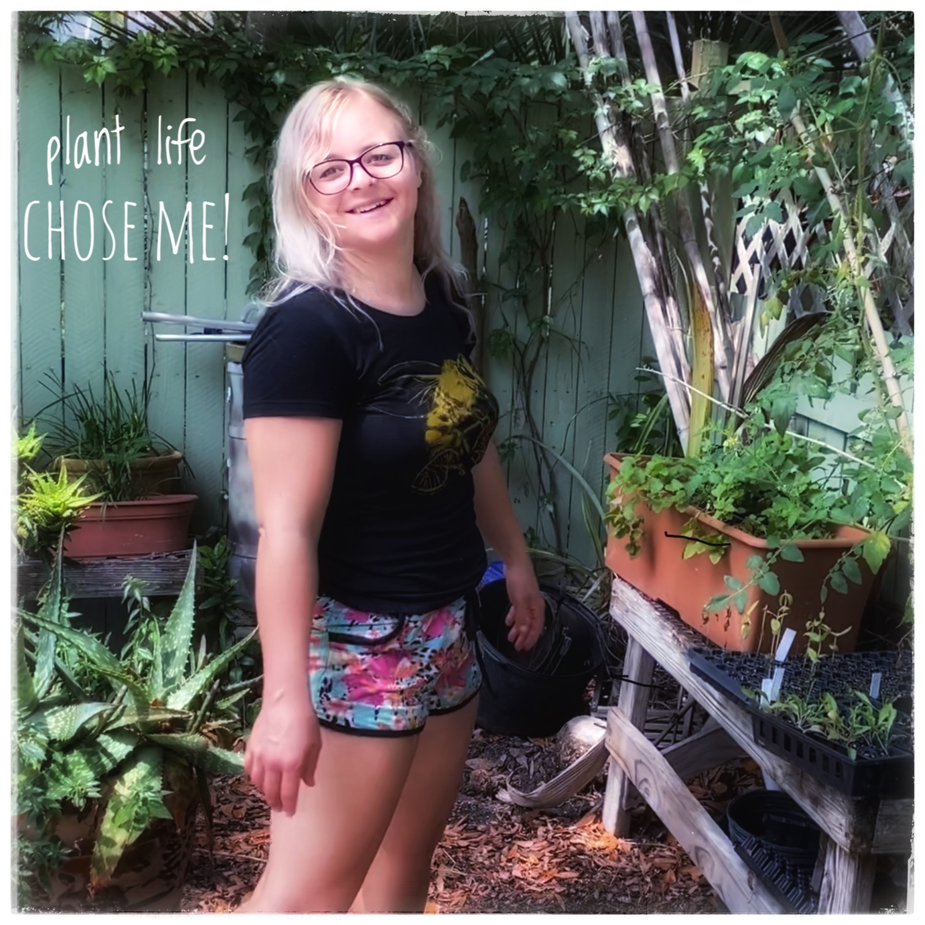 ‘Plant life chose me!’ A conversation with Corinn Sprigler