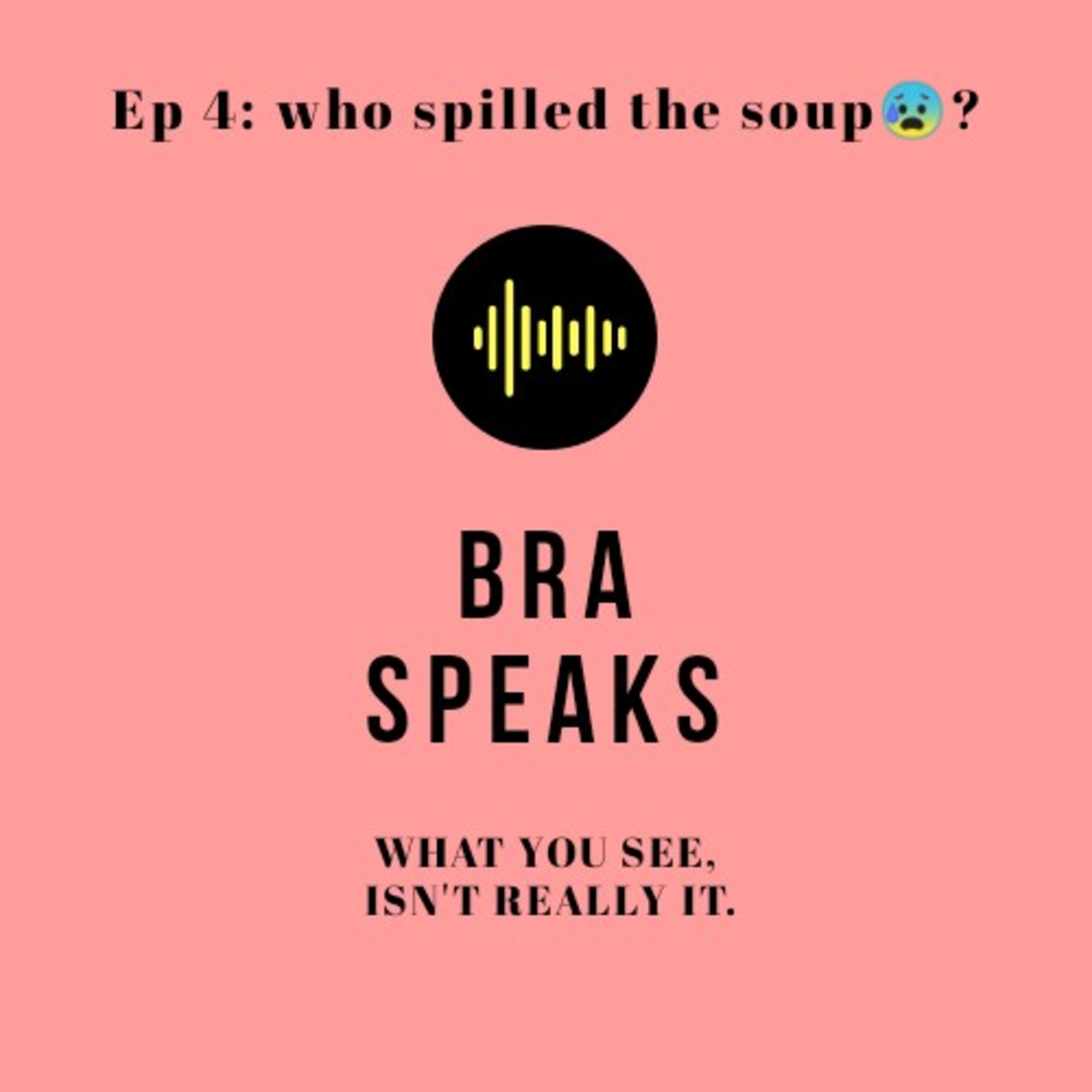 Who spilled the soup ?