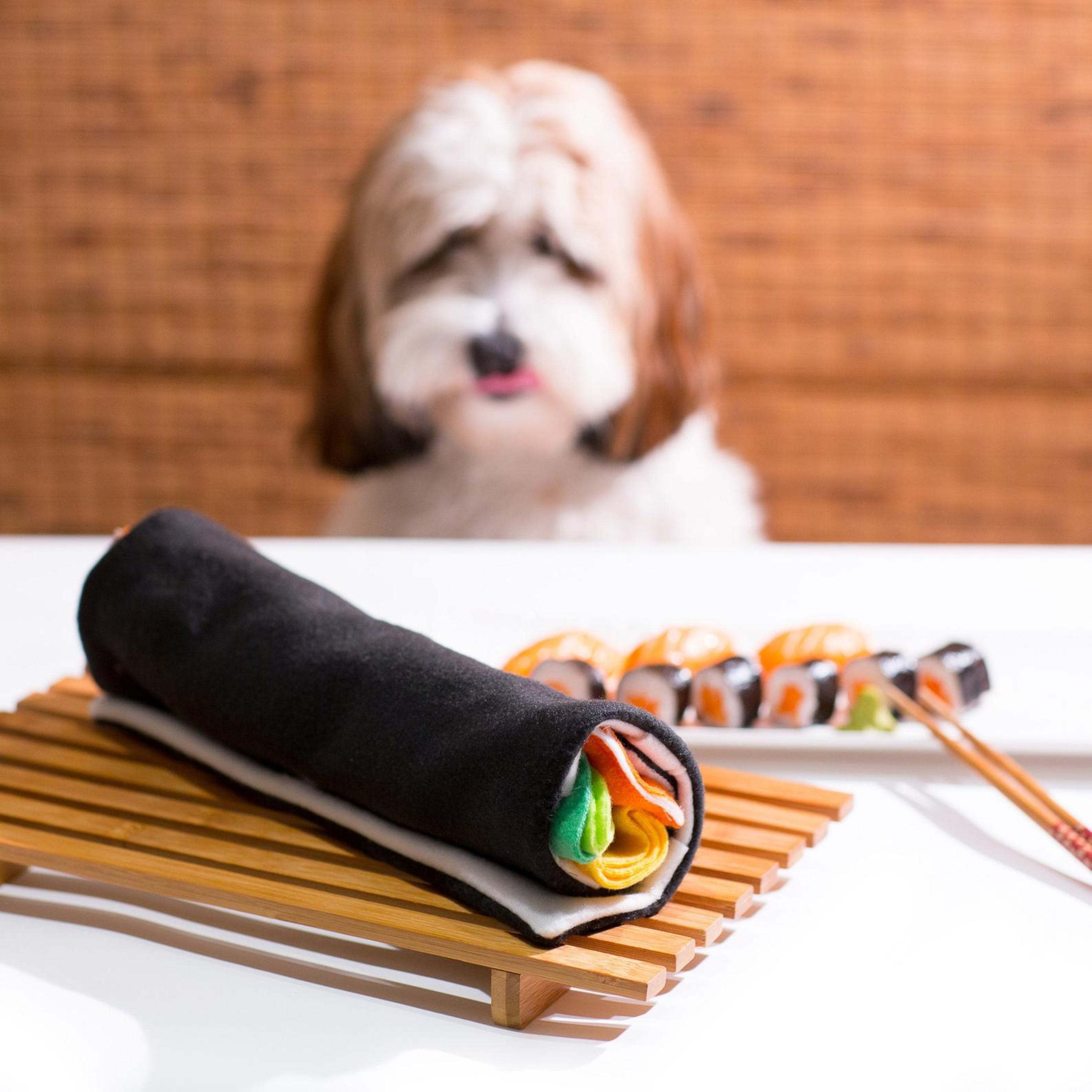 Dog Training Q and A! 11/19/2020: Handmade gifts, dealing with a dog who bites the leash & dog training tips for a toddler mom