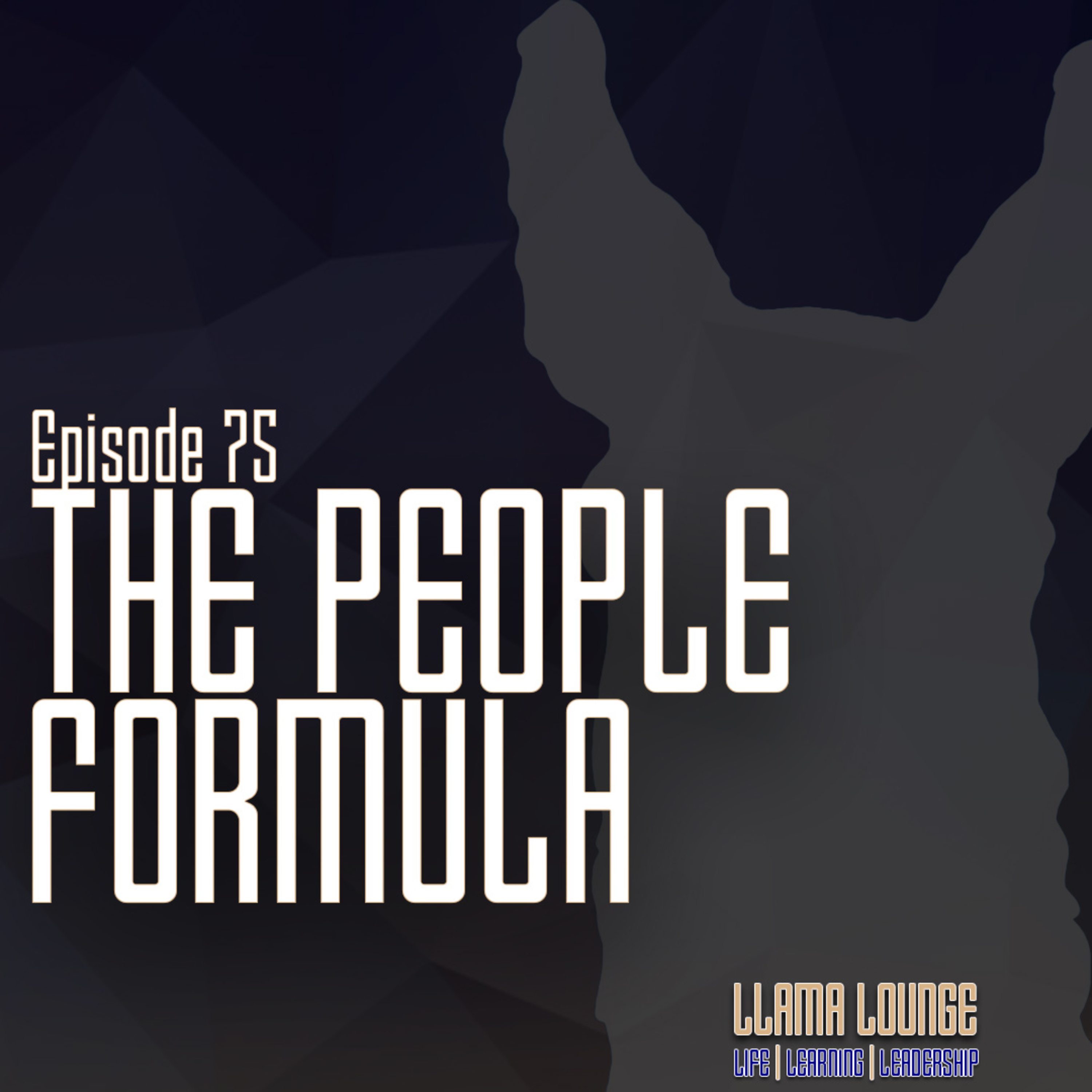 The Llama Lounge