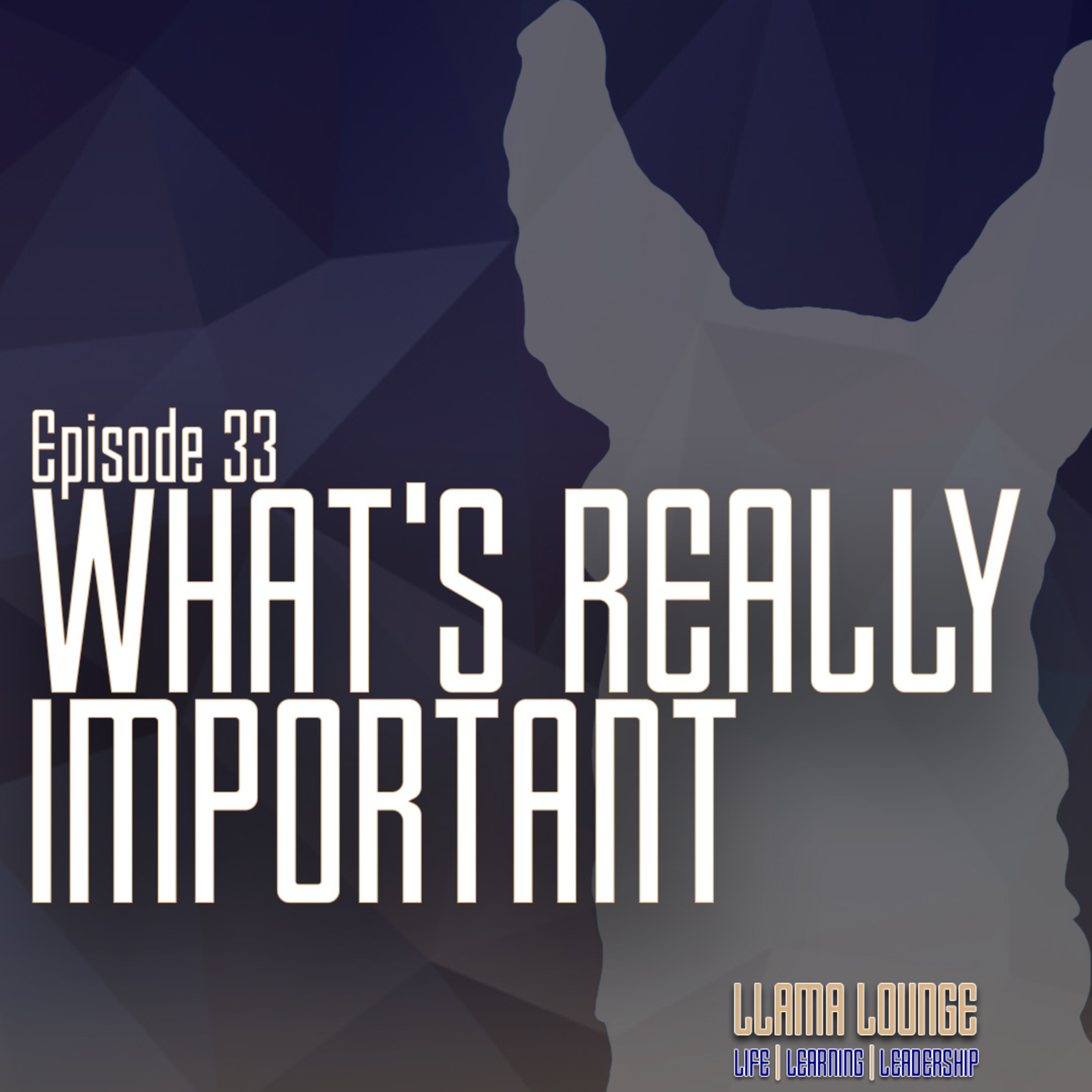 The Llama Lounge