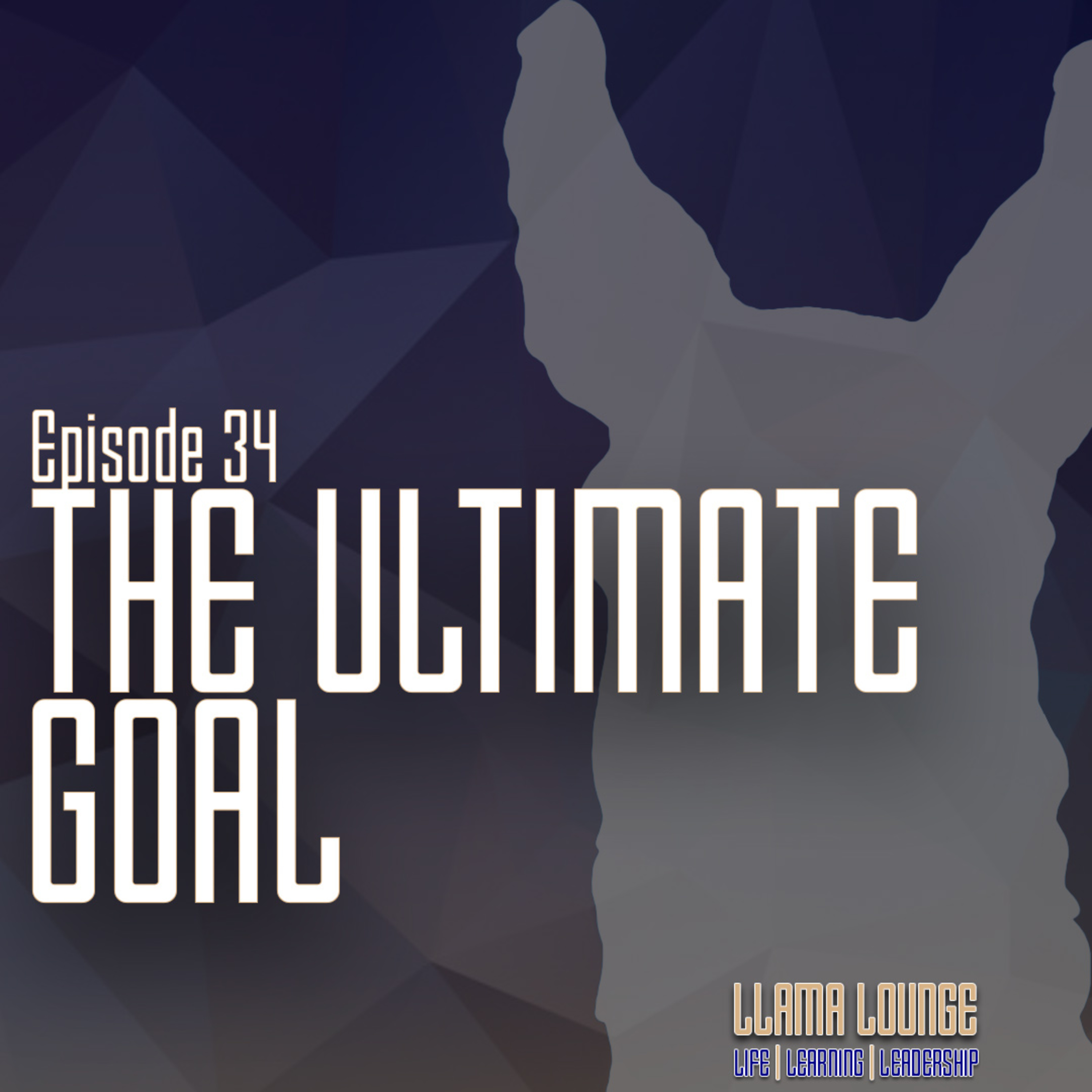 The Llama Lounge