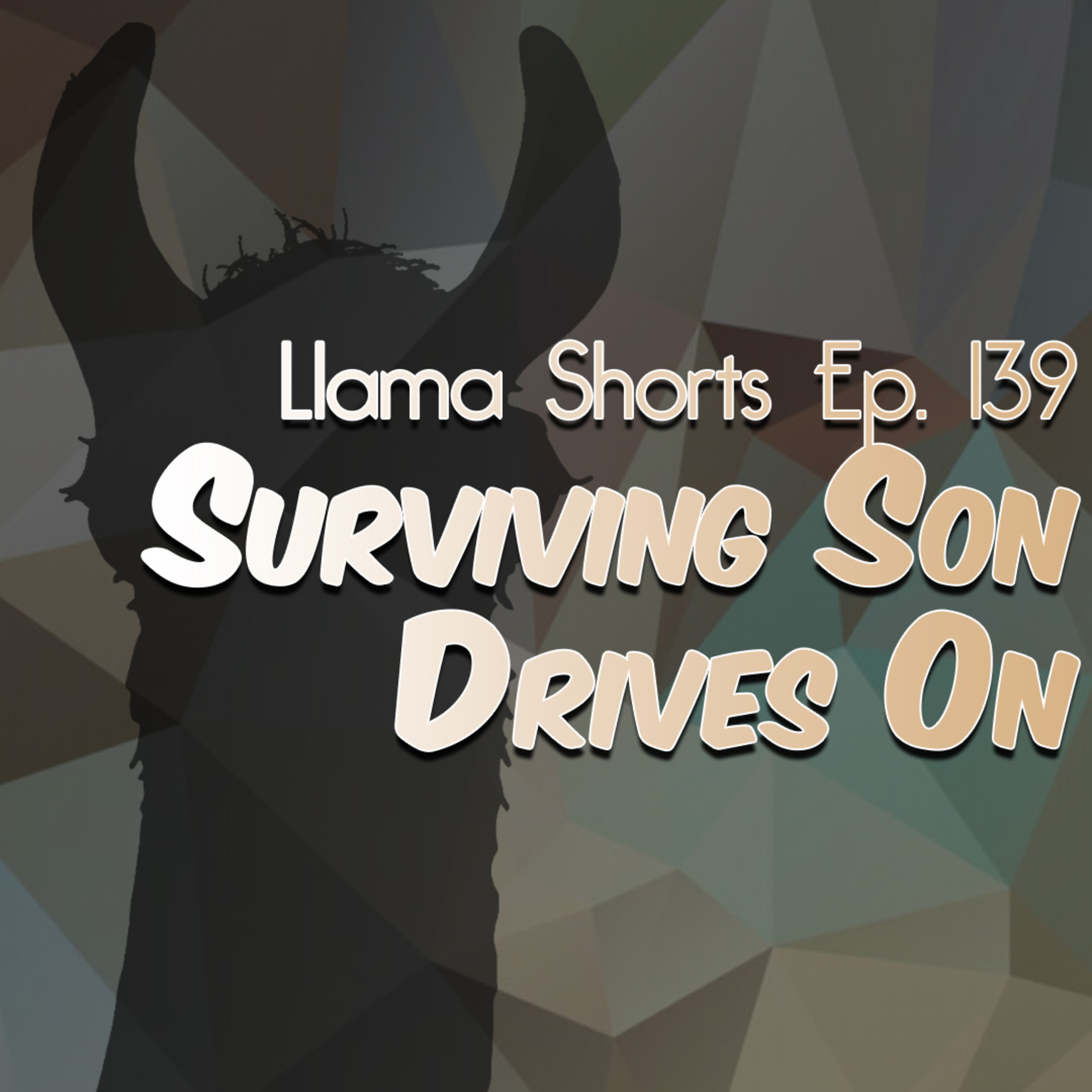 The Llama Lounge